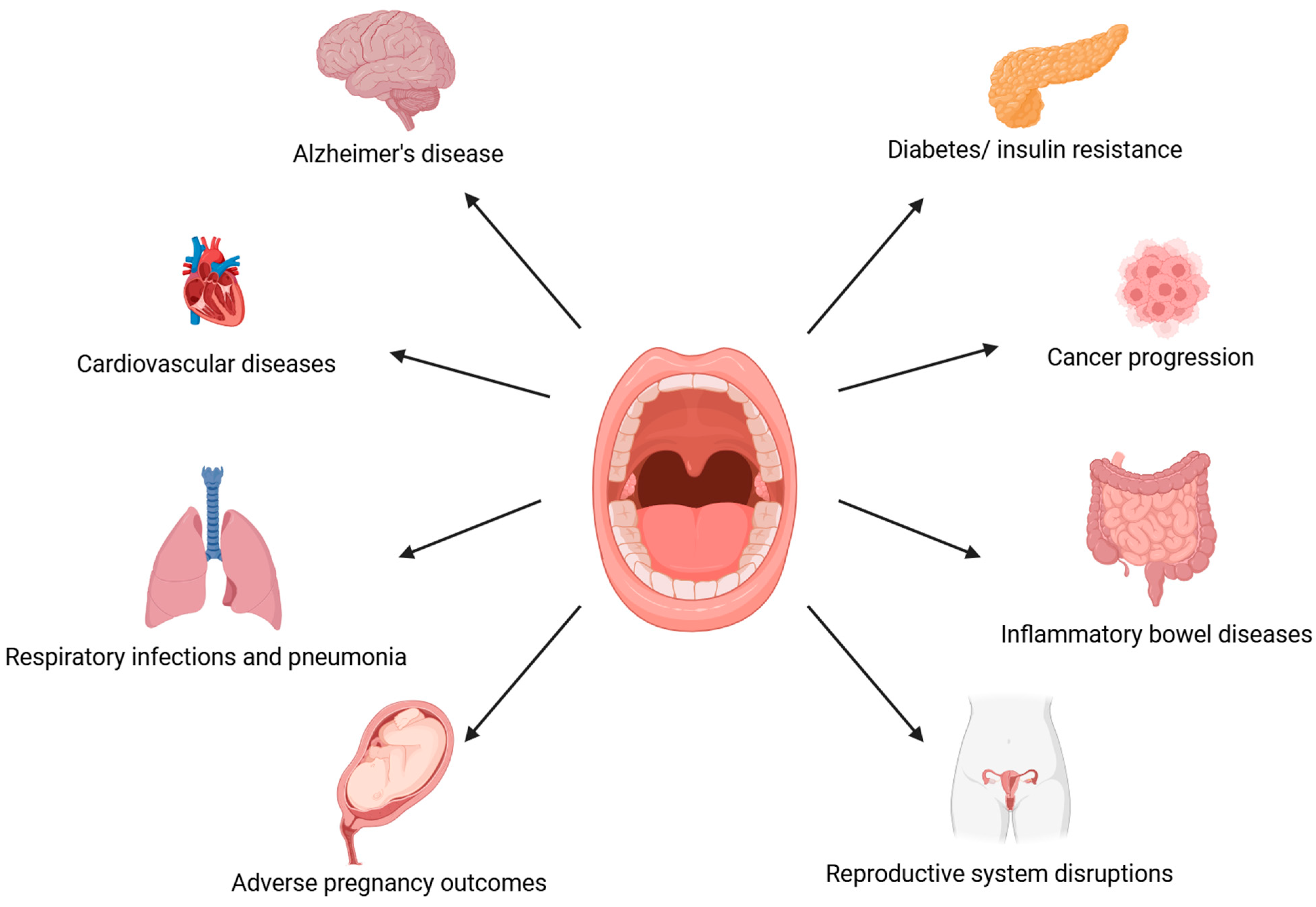 Microorganisms 13 00619 g001