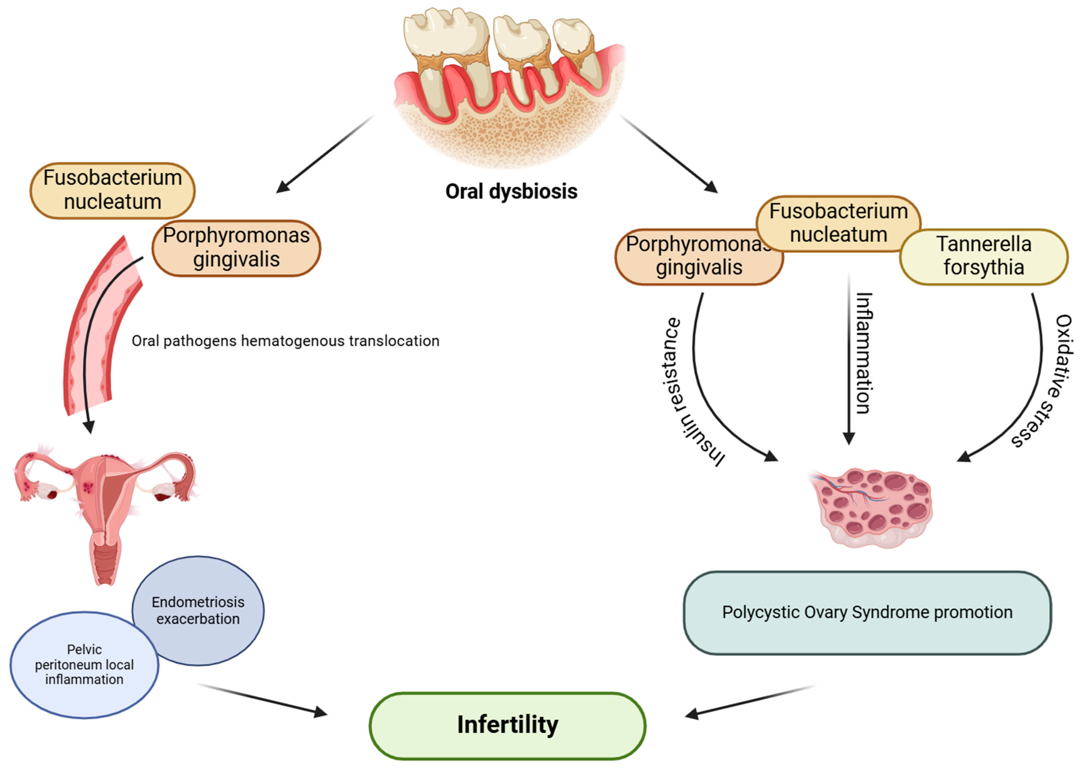 Microorganisms 13 00619 g003