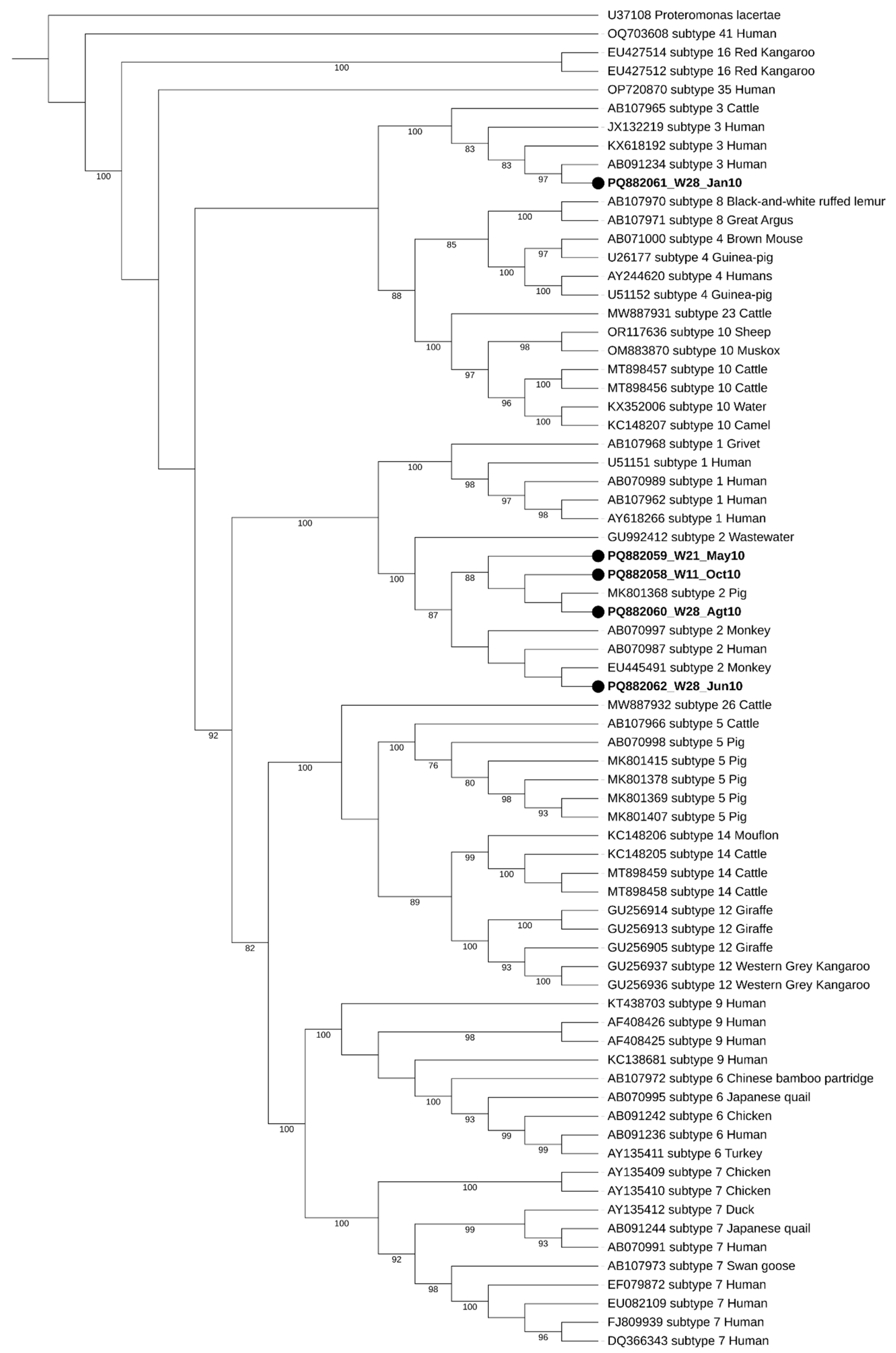 Microorganisms 13 00620 g002