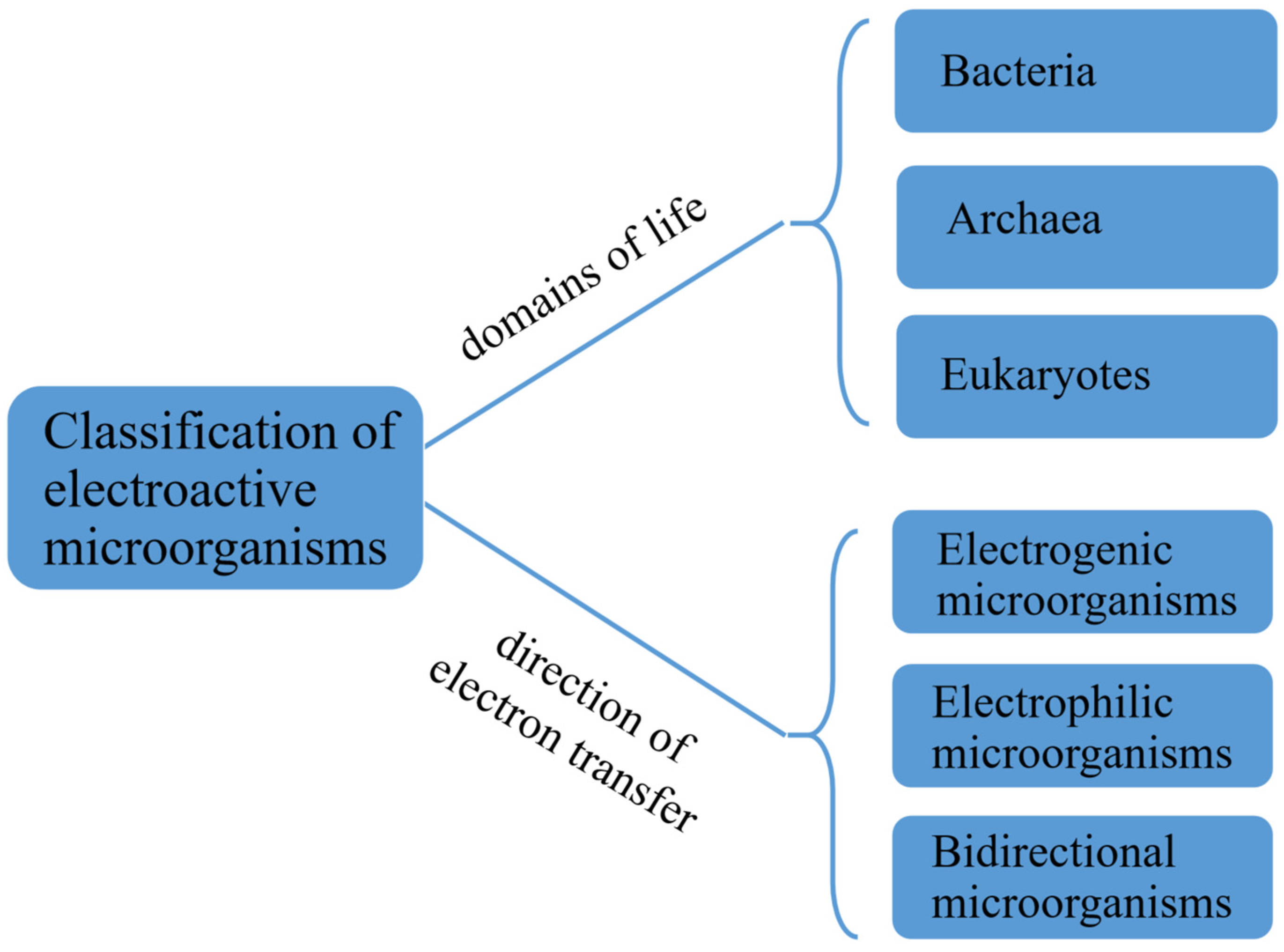 Microorganisms 13 00631 g002 Microorganisms 13 00631 g002