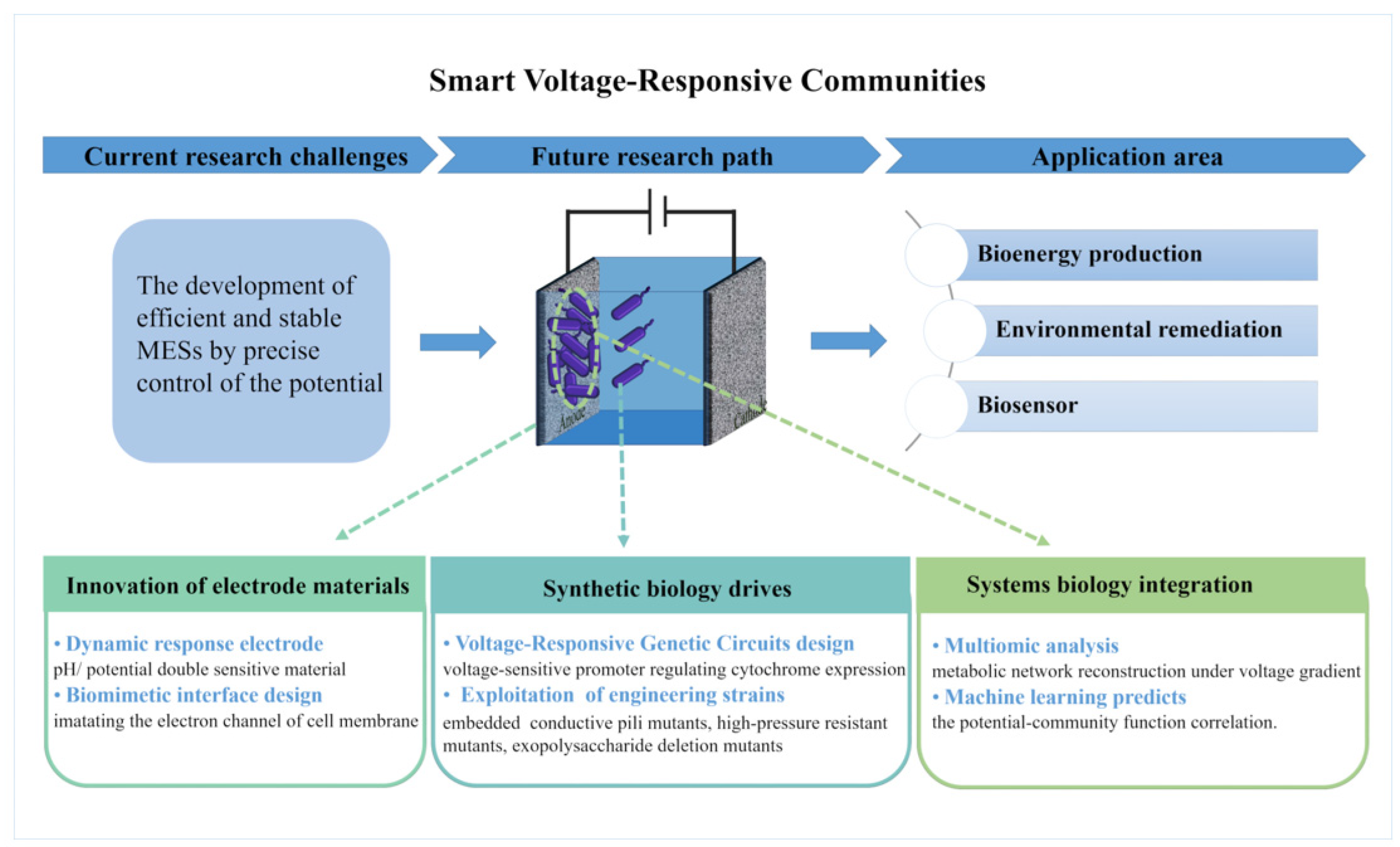 Microorganisms 13 00631 g006 Microorganisms 13 00631 g006
