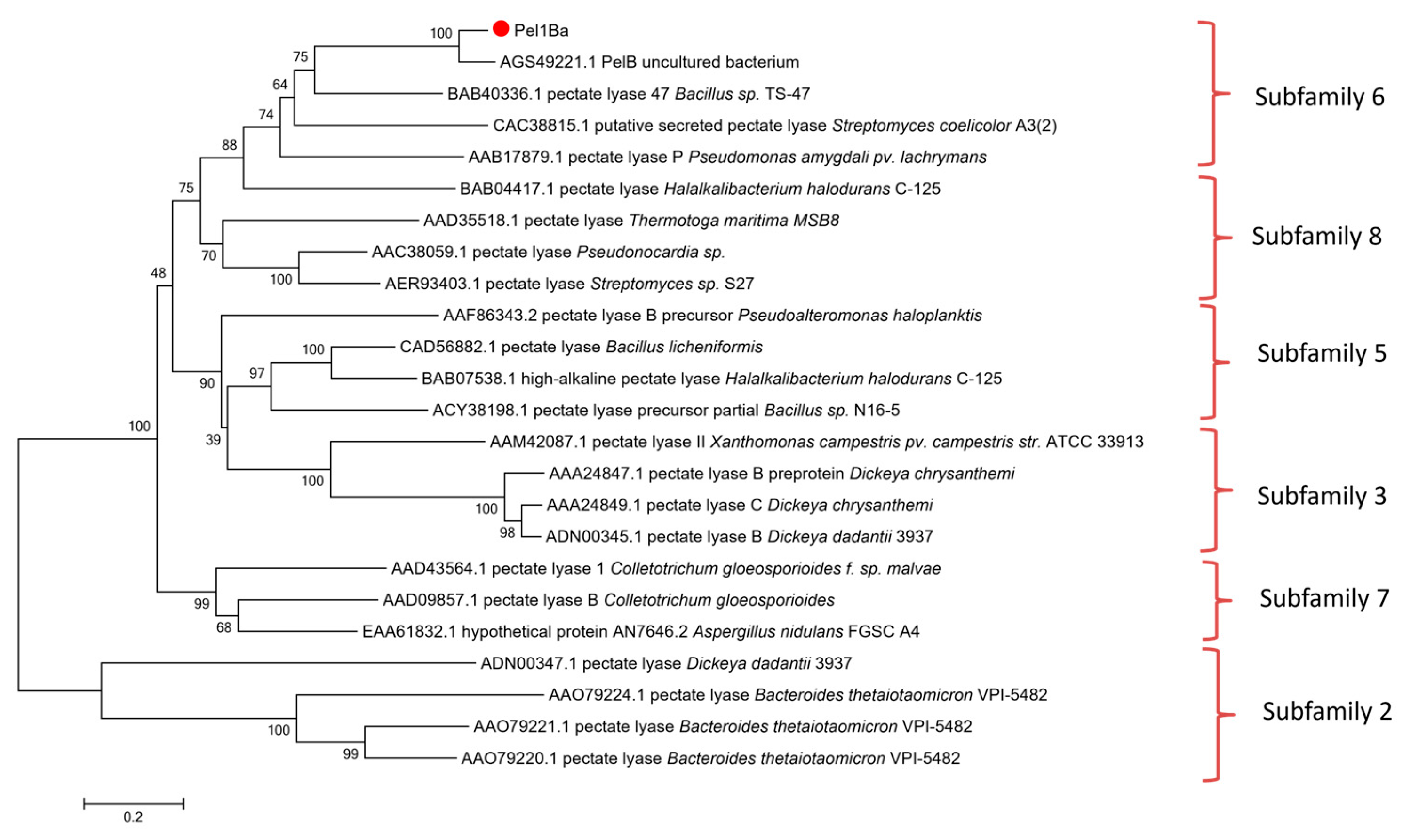 Microorganisms 13 00634 g002