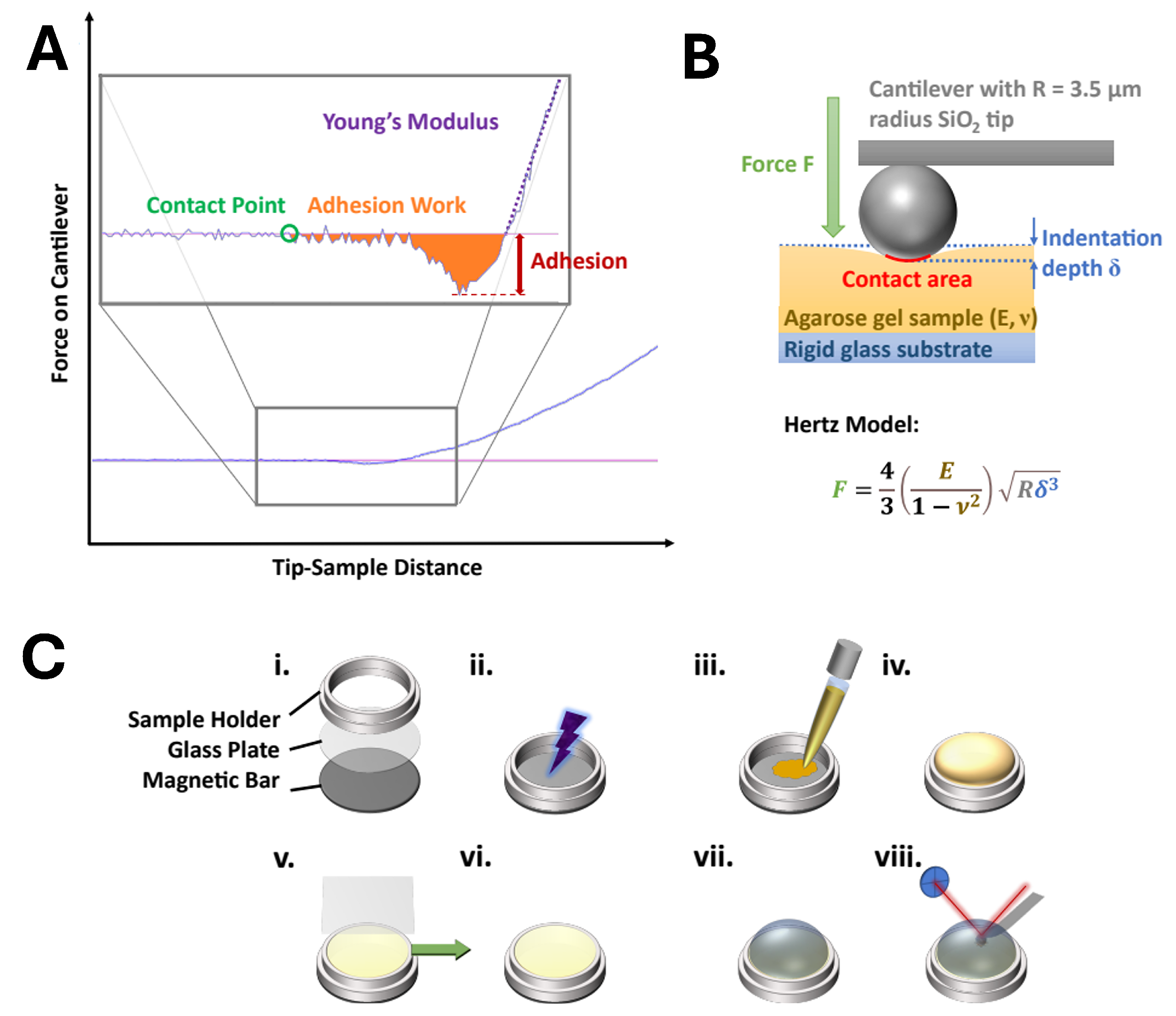 Microorganisms 13 00637 g001 Microorganisms 13 00637 g001