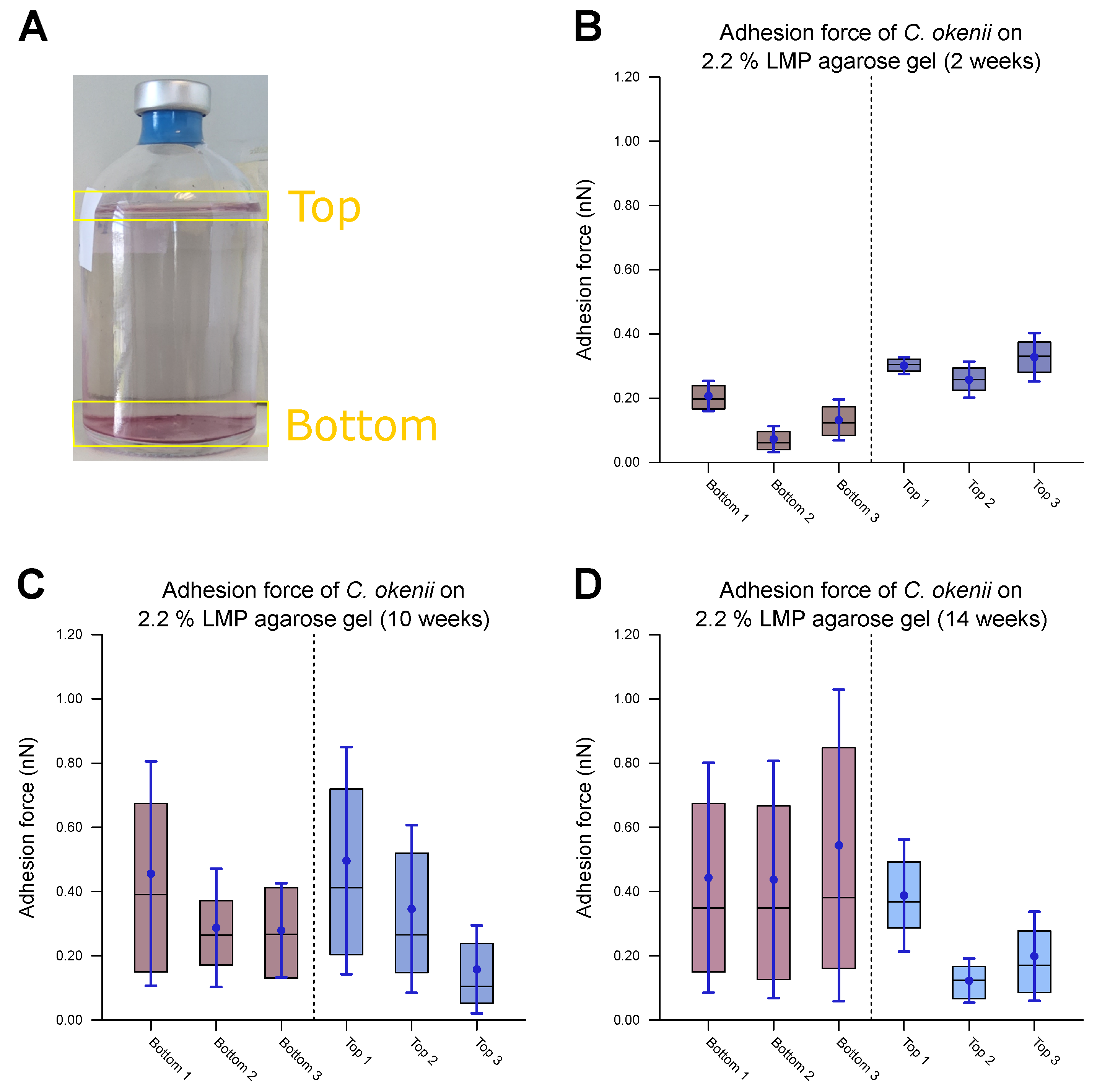 Microorganisms 13 00637 g008 Microorganisms 13 00637 g008