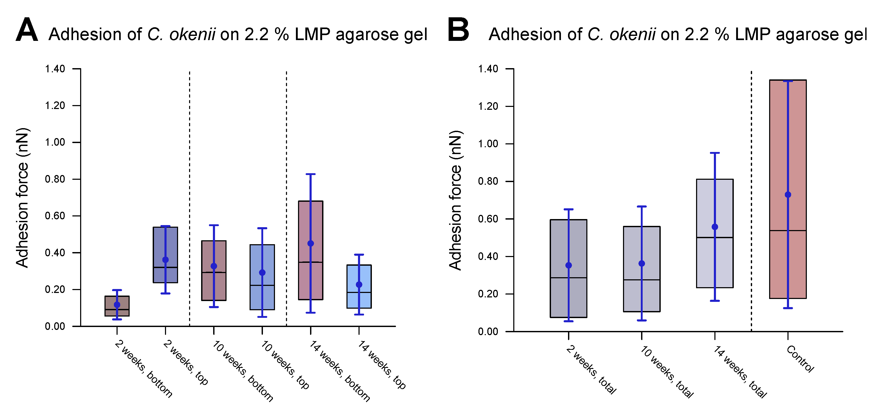 Microorganisms 13 00637 g009 Microorganisms 13 00637 g009