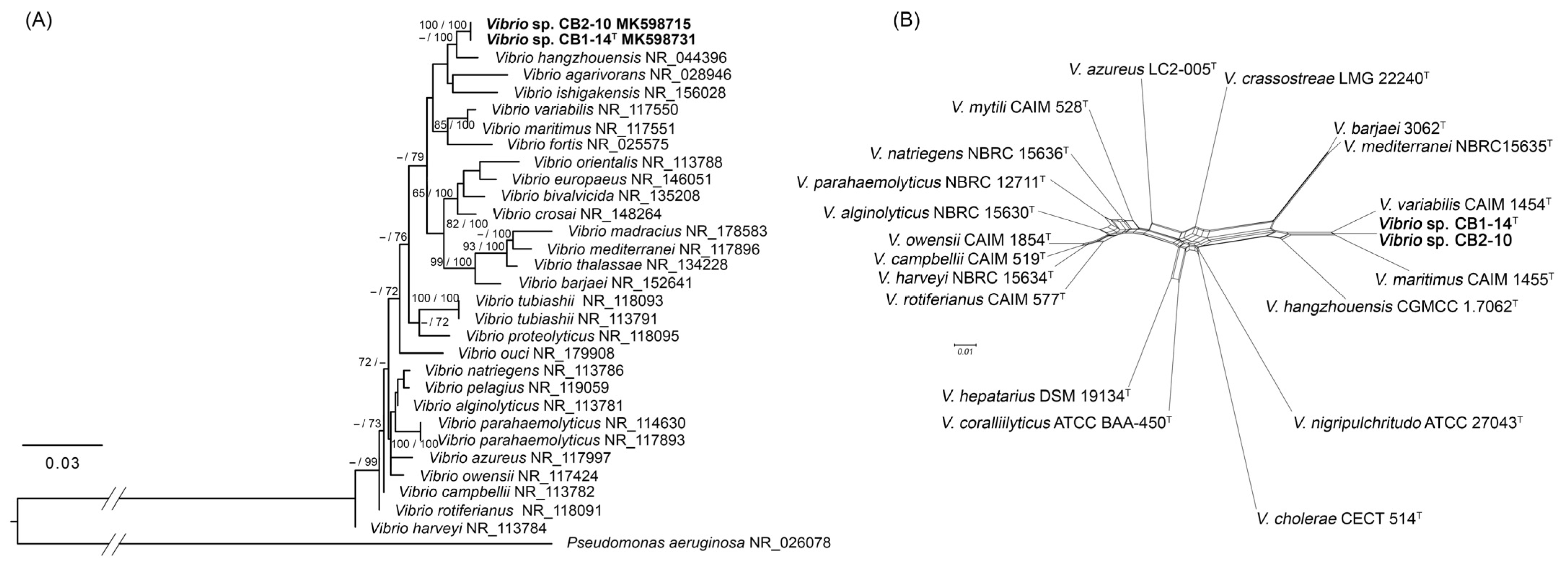 Microorganisms 13 00638 g001 Microorganisms 13 00638 g001