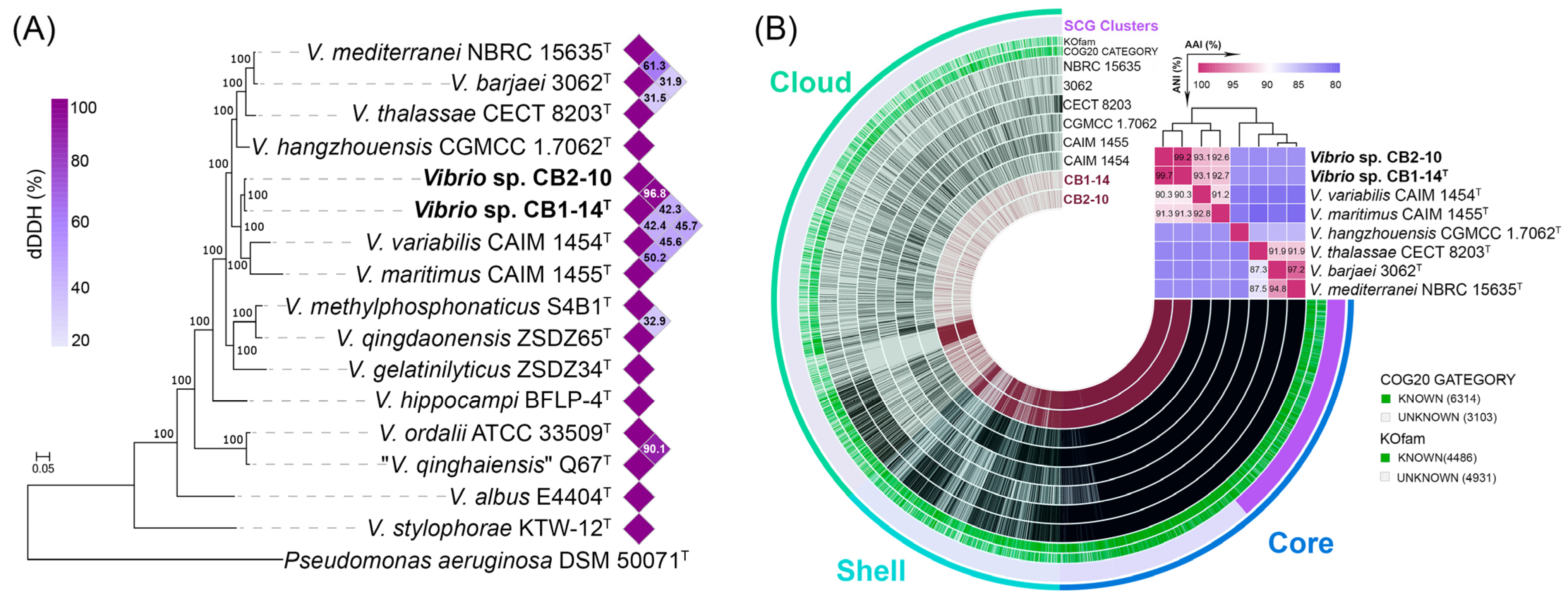 Microorganisms 13 00638 g002 Microorganisms 13 00638 g002