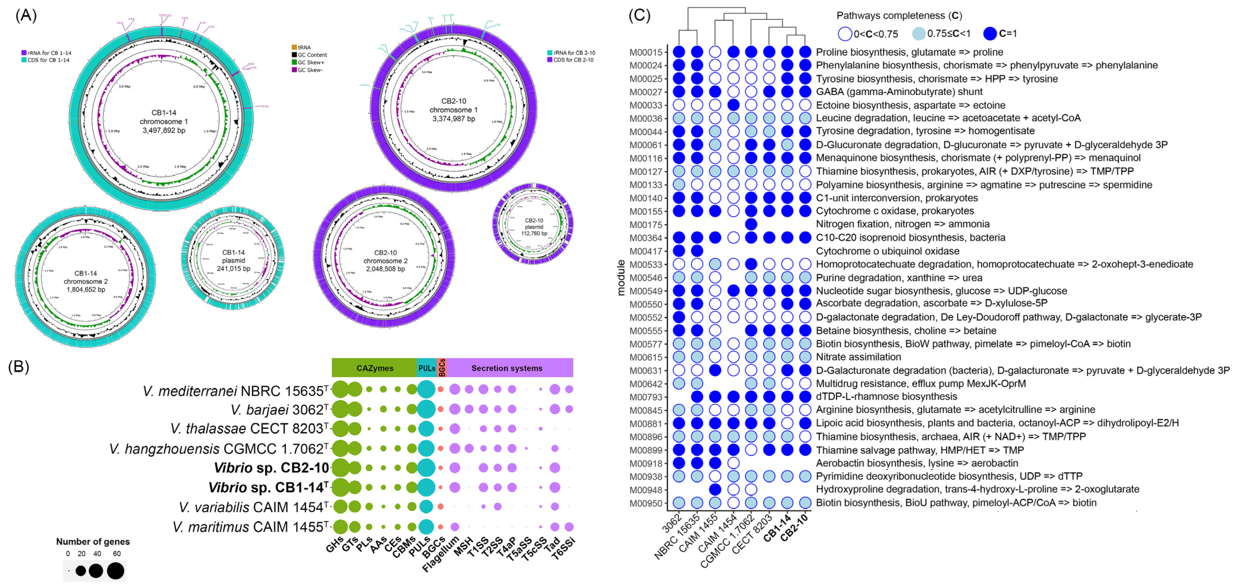 Microorganisms 13 00638 g003 Microorganisms 13 00638 g003