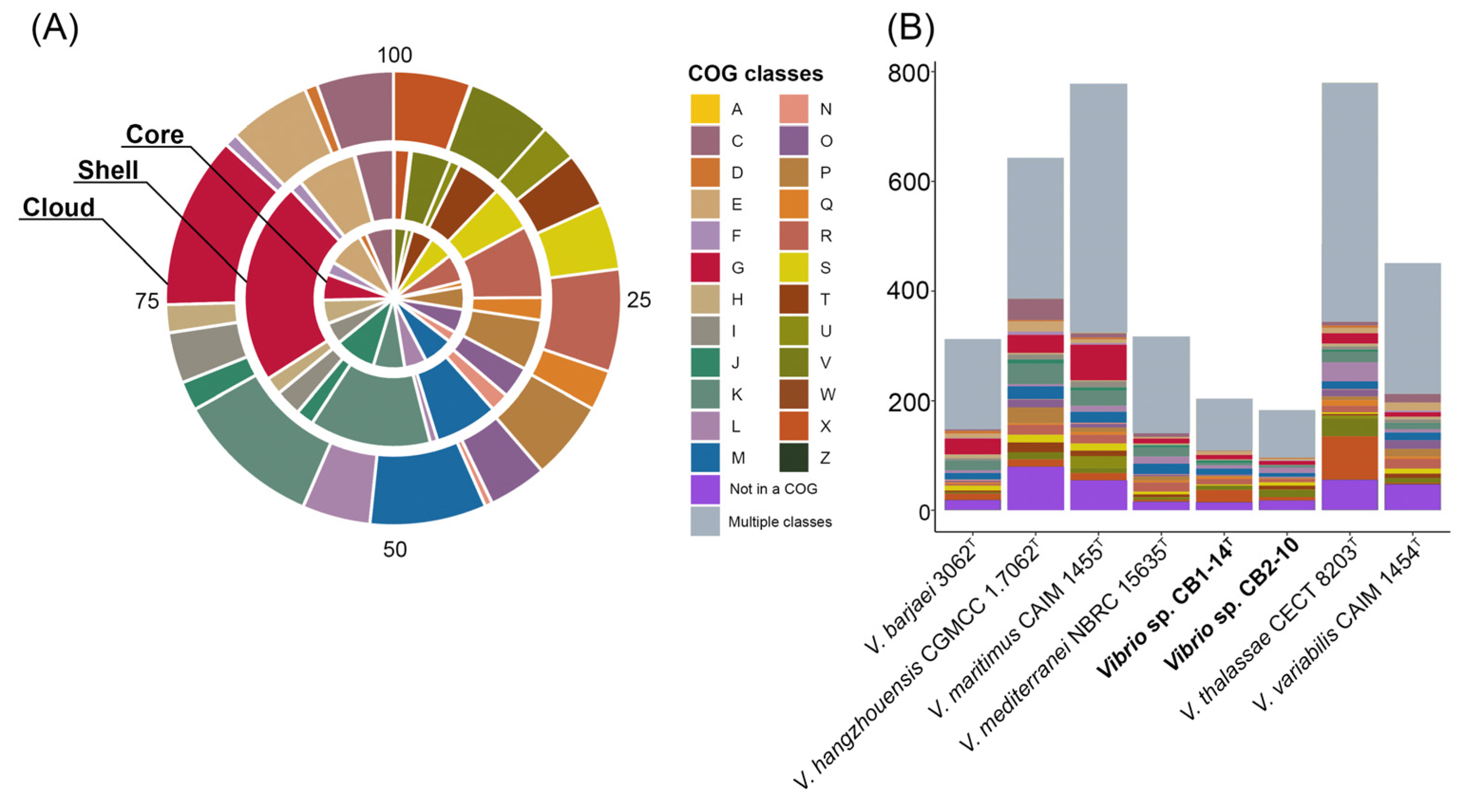 Microorganisms 13 00638 g004 Microorganisms 13 00638 g004