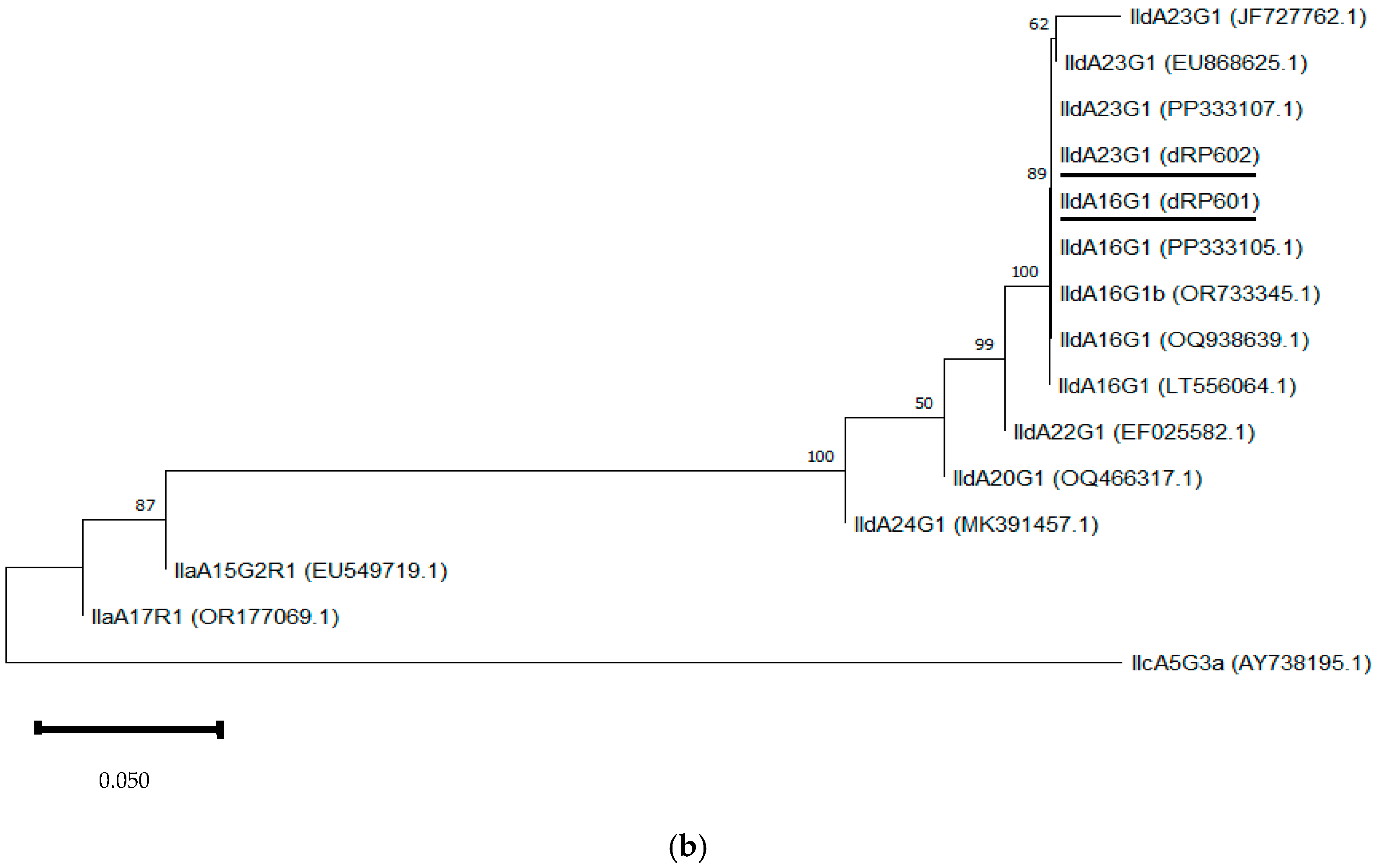 Microorganisms 13 00644 g003b Microorganisms 13 00644 g003b