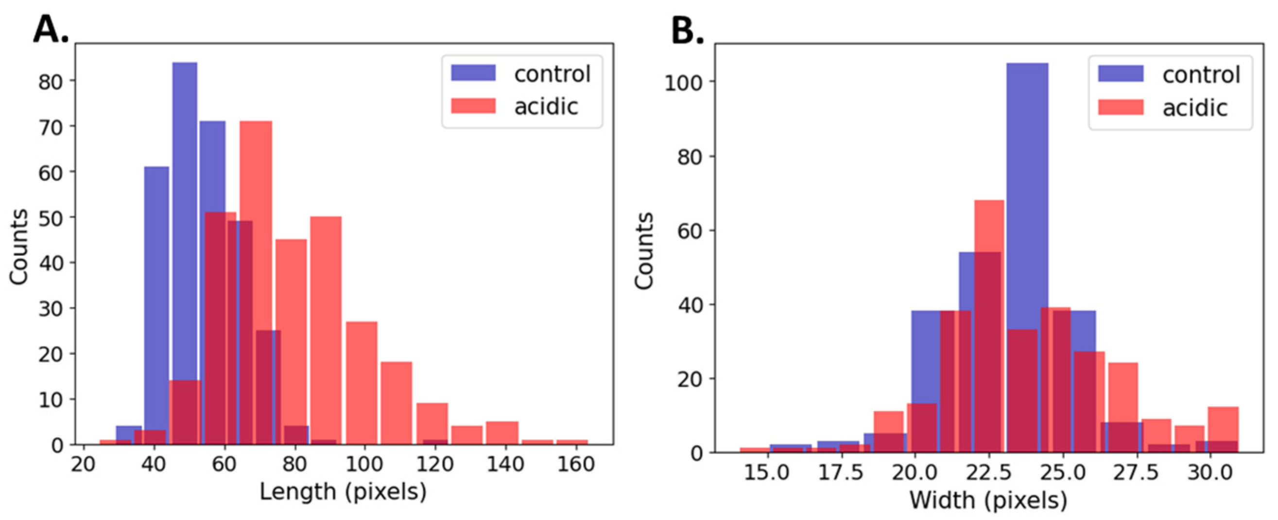Microorganisms 13 00647 g005