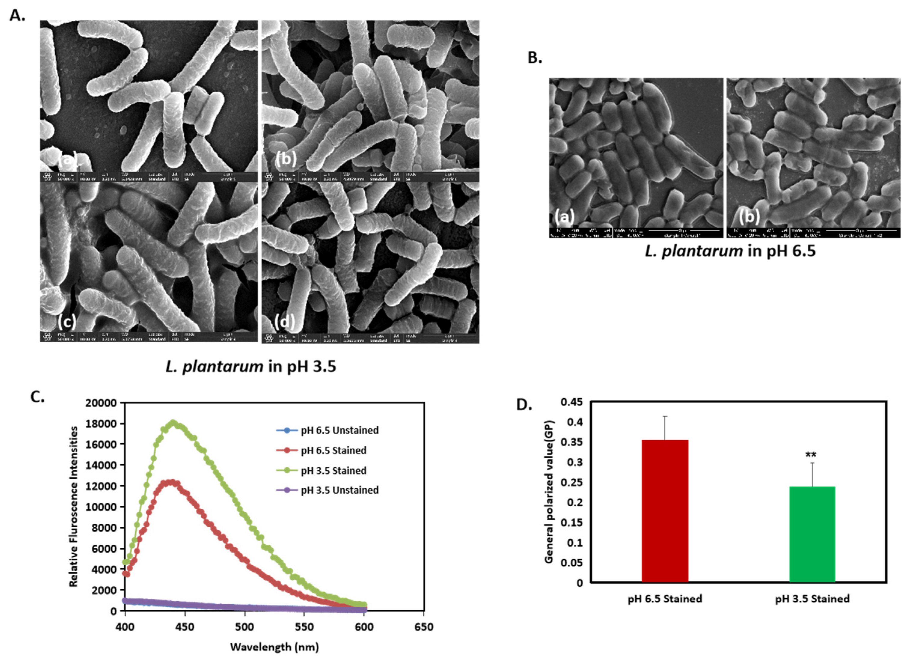 Microorganisms 13 00647 g006