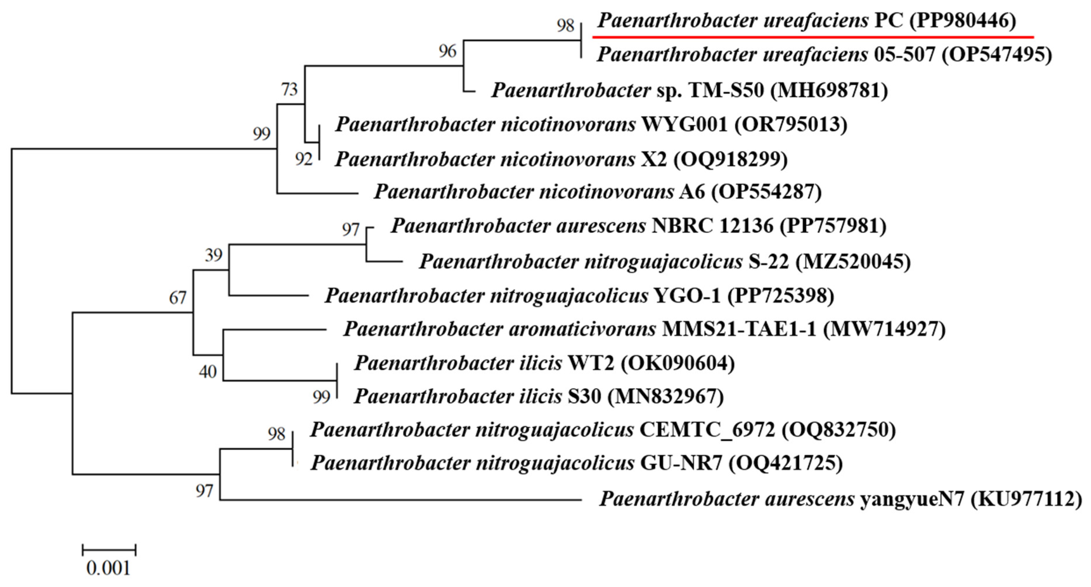 Microorganisms 13 00649 g001 Microorganisms 13 00649 g001
