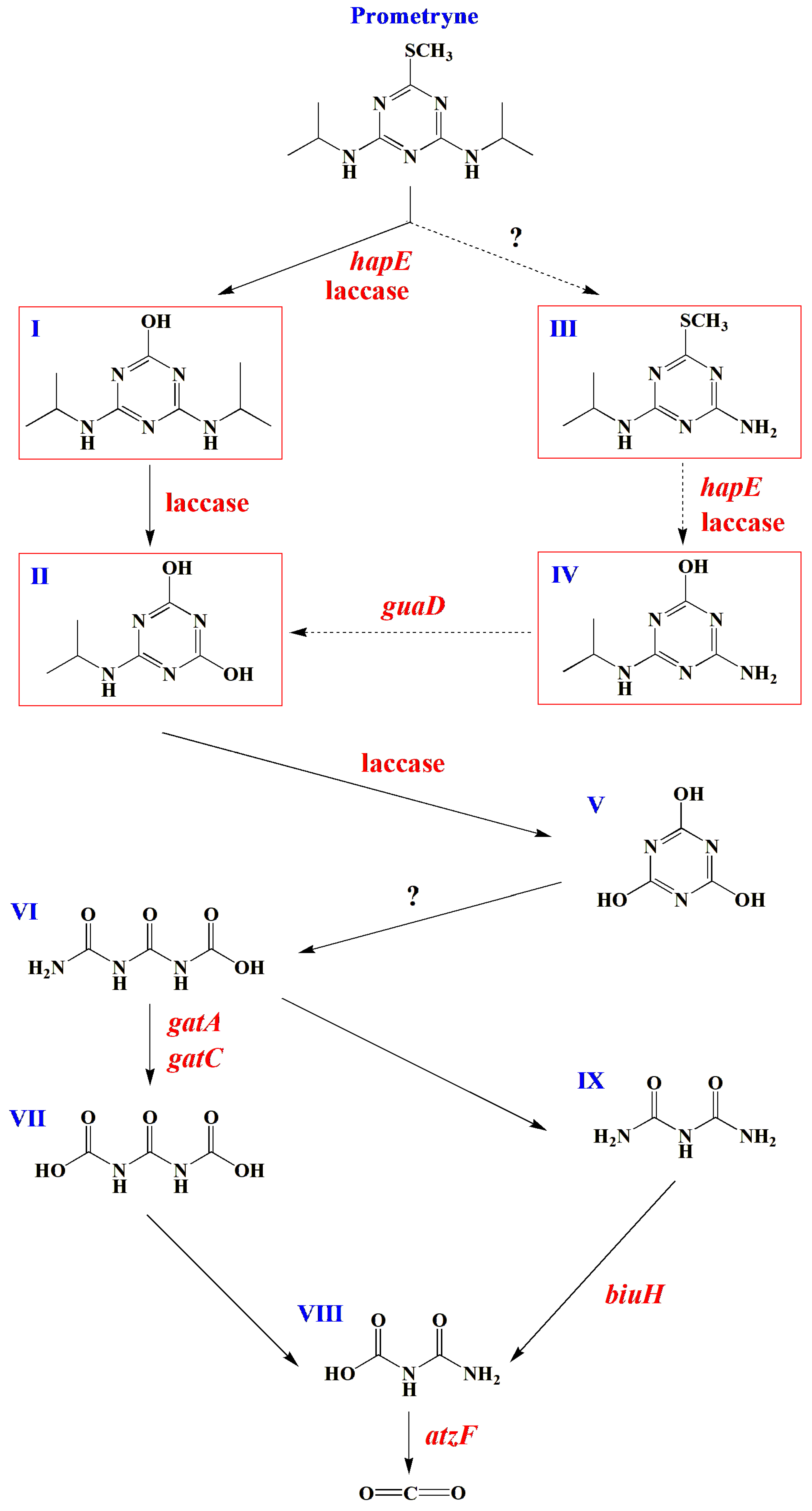 Microorganisms 13 00649 g005 Microorganisms 13 00649 g005