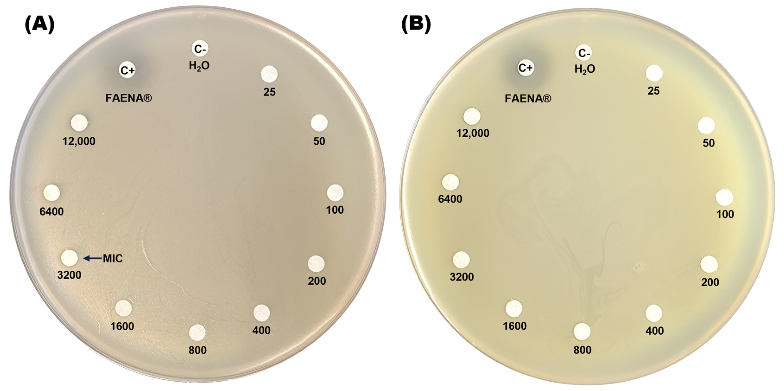 Microorganisms 13 00651 g001 Microorganisms 13 00651 g001