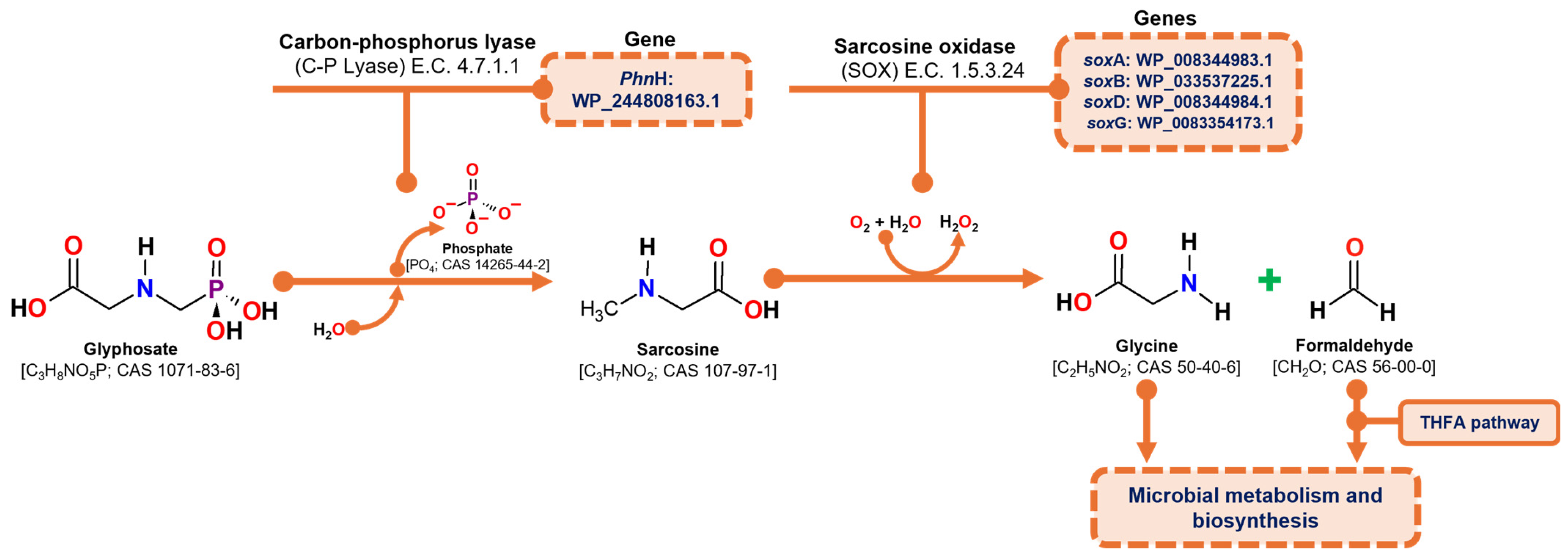 Microorganisms 13 00651 g005 Microorganisms 13 00651 g005