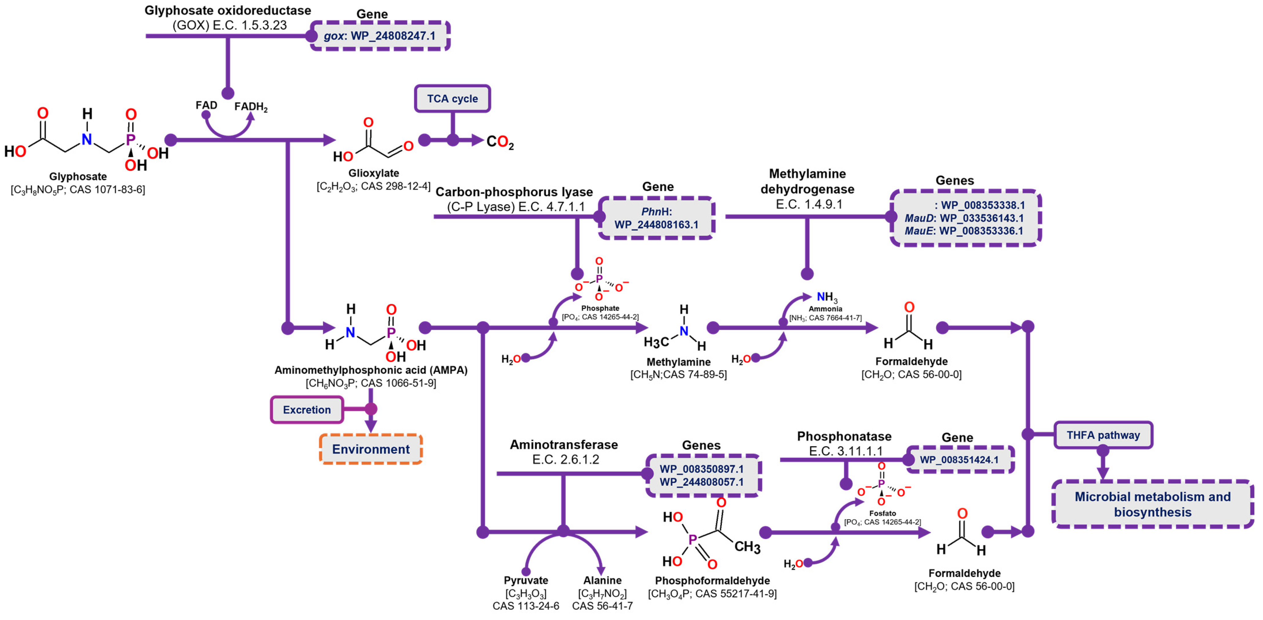 Microorganisms 13 00651 g006 Microorganisms 13 00651 g006