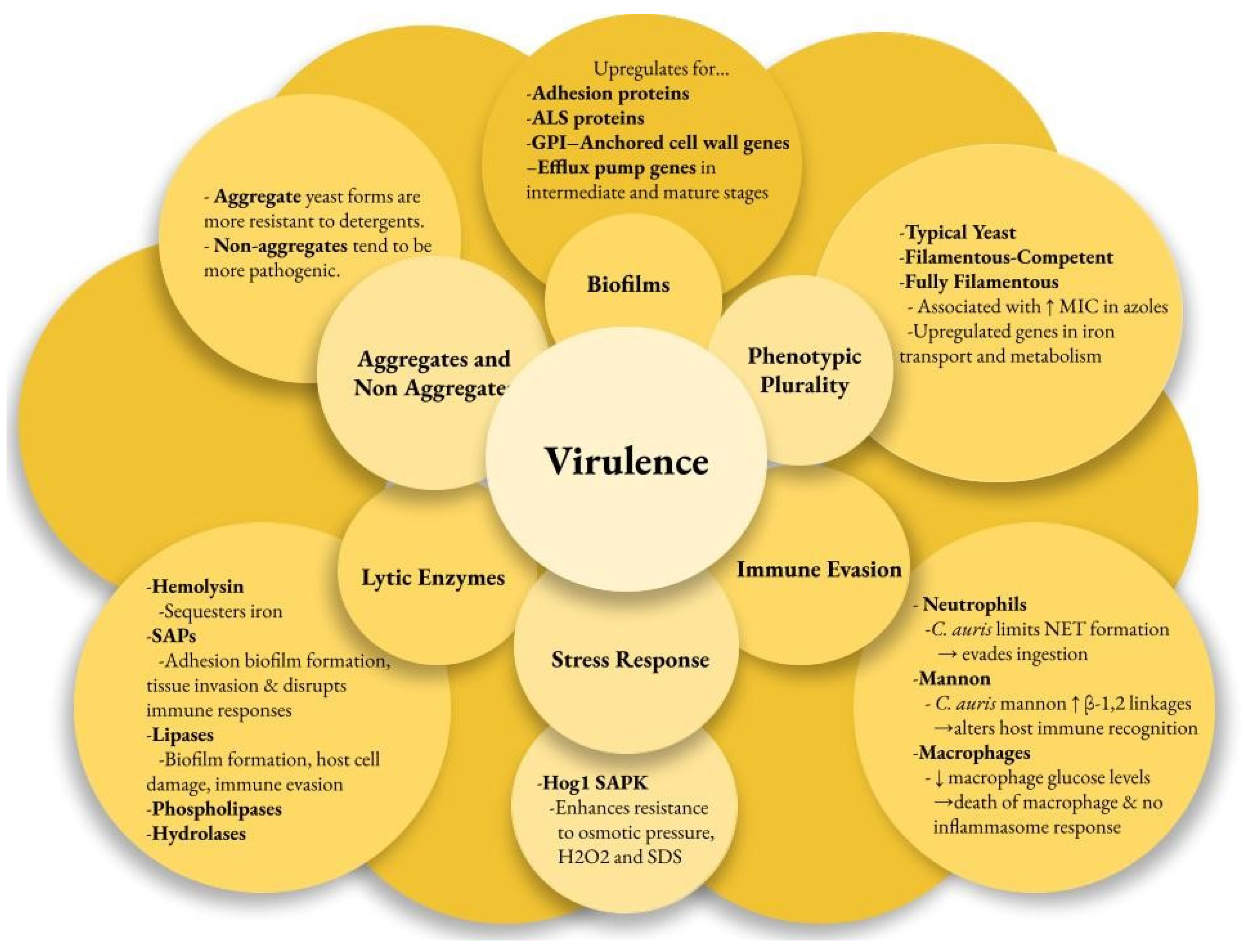 Microorganisms 13 00652 g001