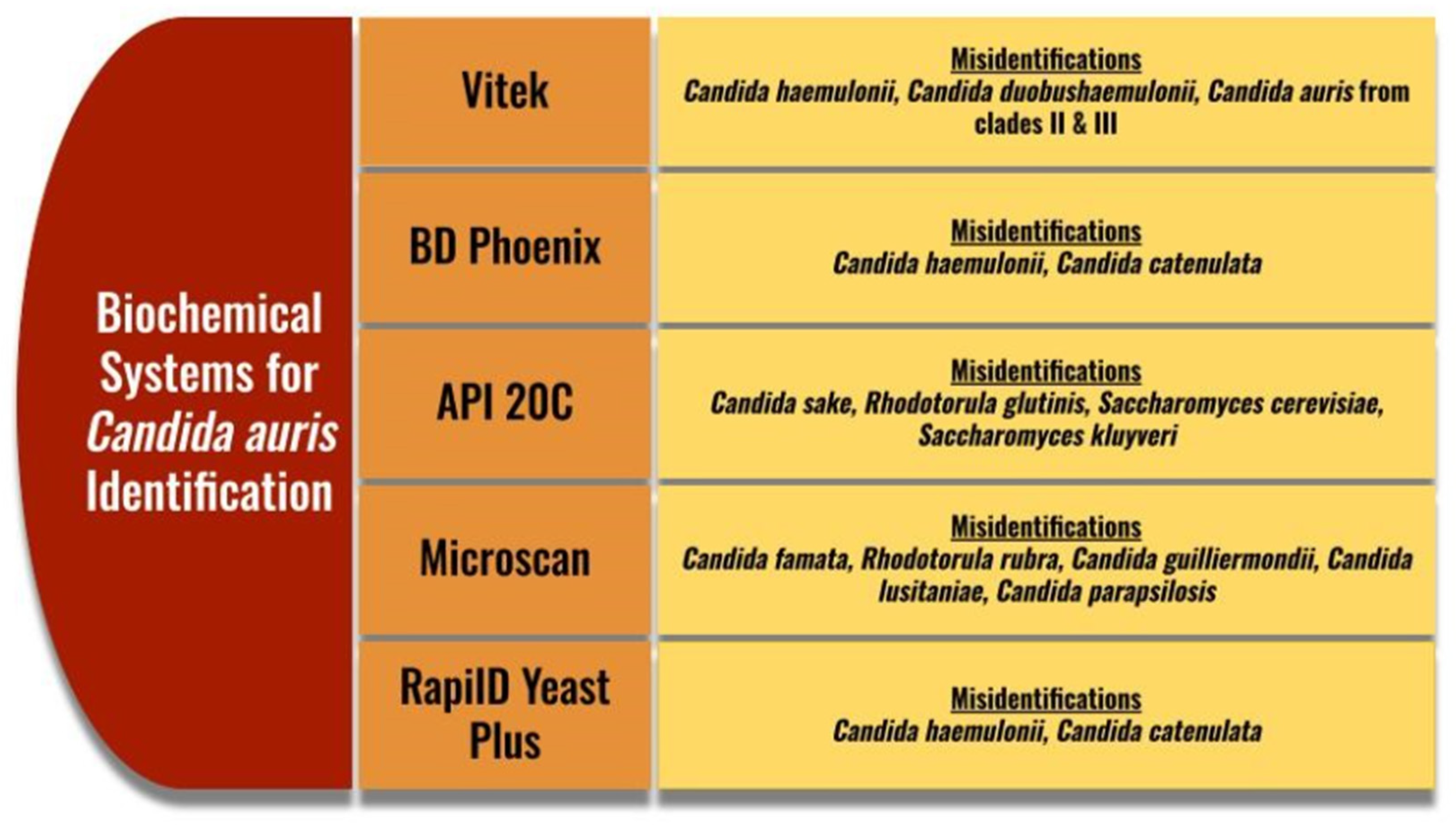 Microorganisms 13 00652 g002