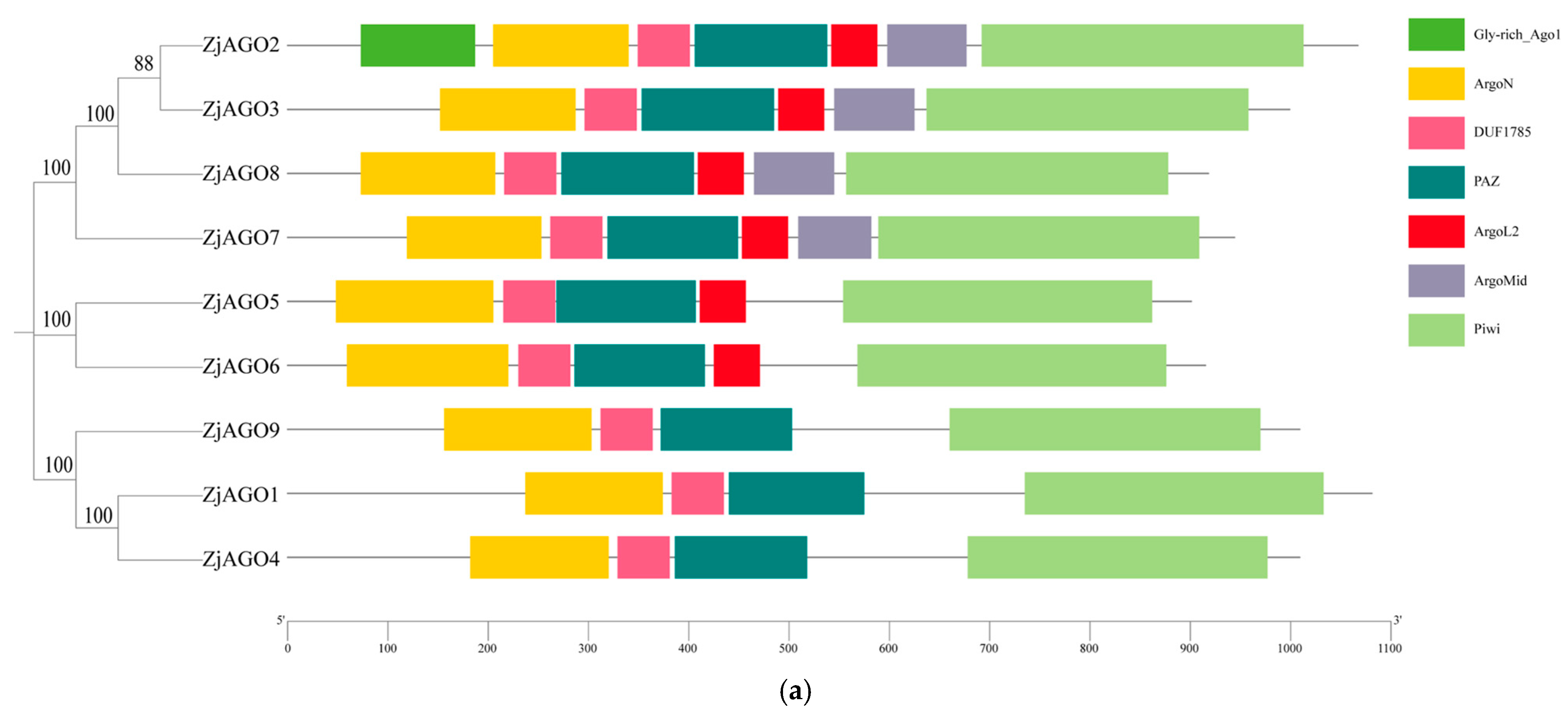 Microorganisms 13 00658 g002a