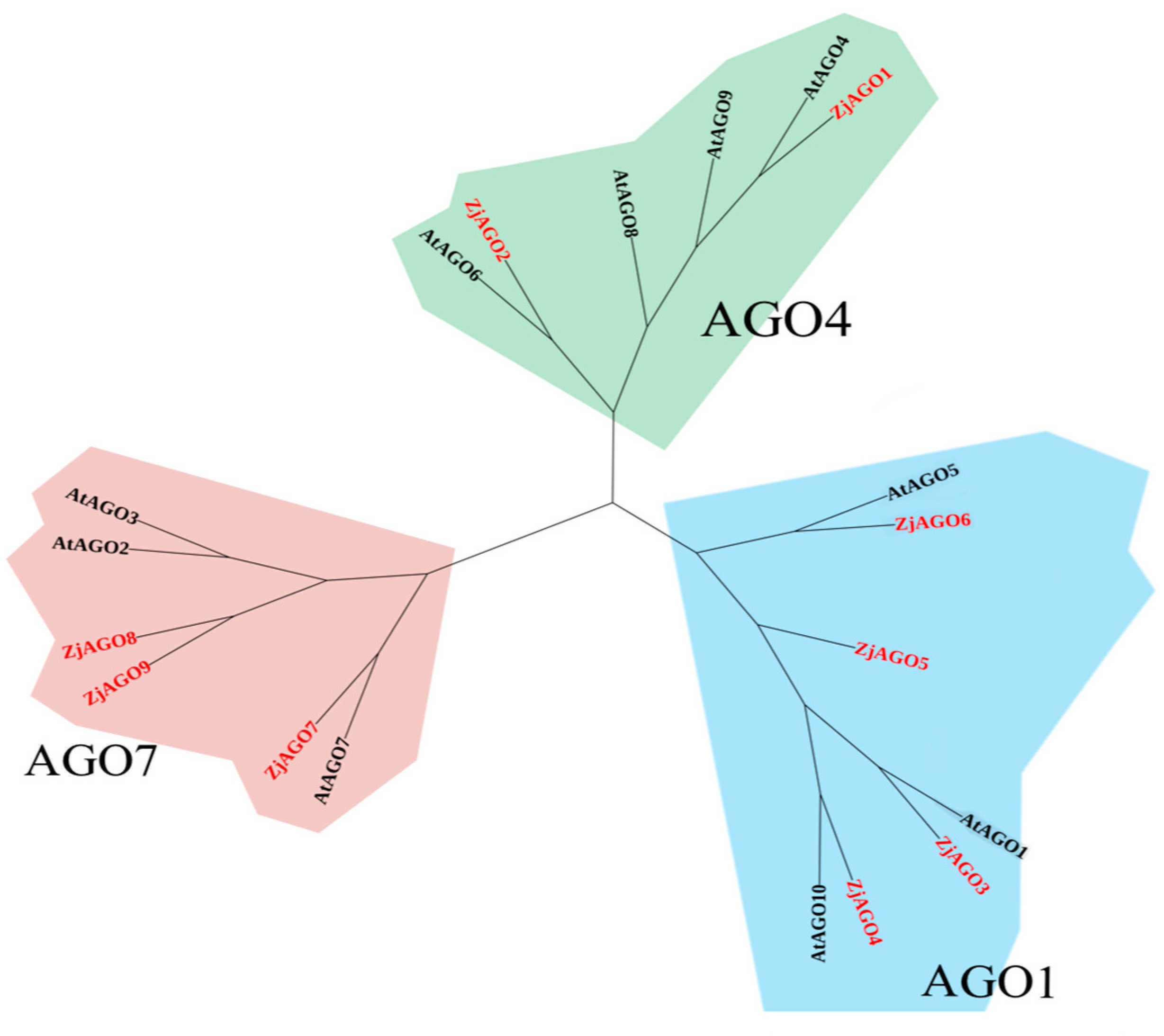 Microorganisms 13 00658 g003