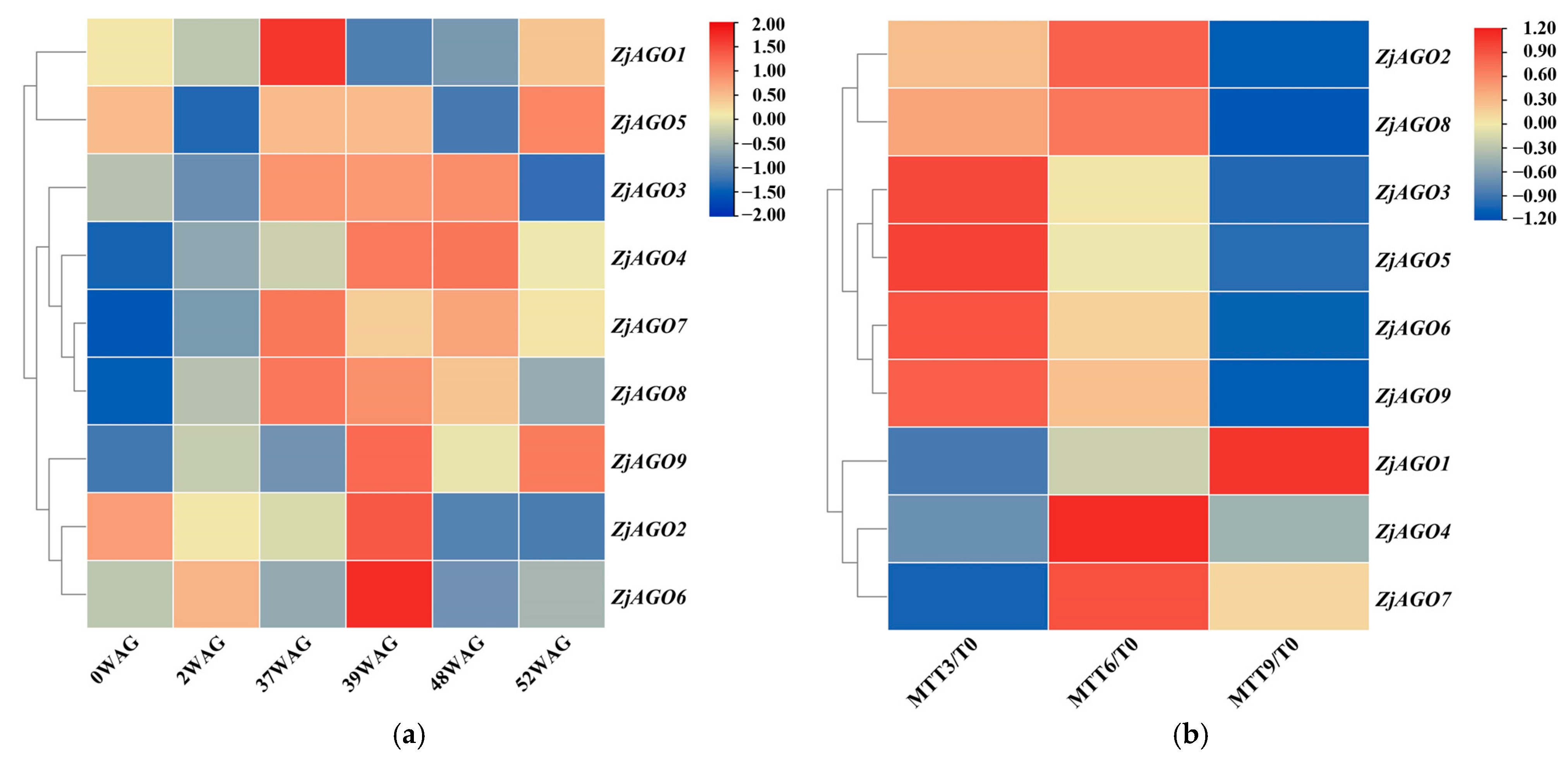 Microorganisms 13 00658 g004