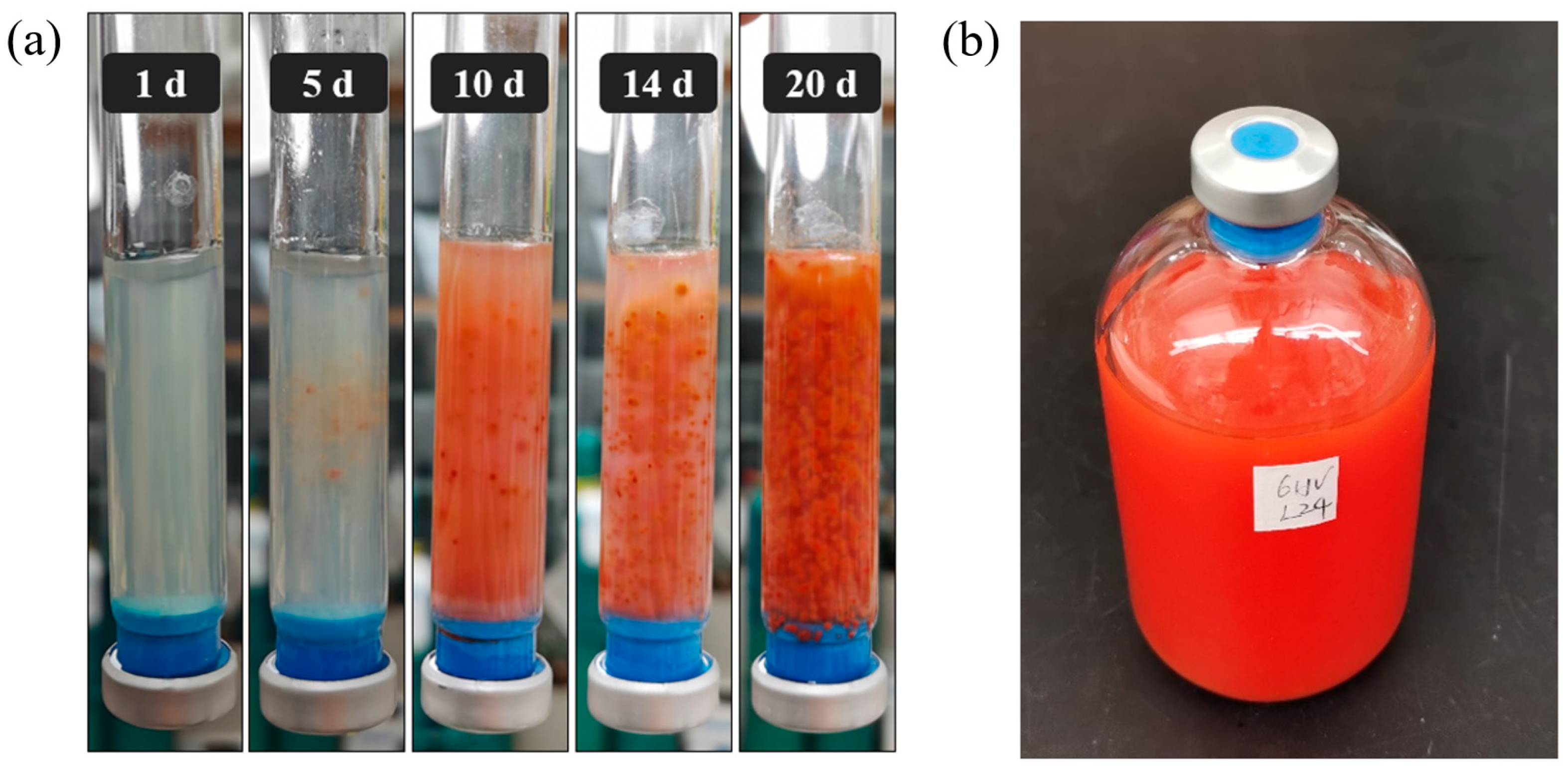 Microorganisms 13 00659 g001