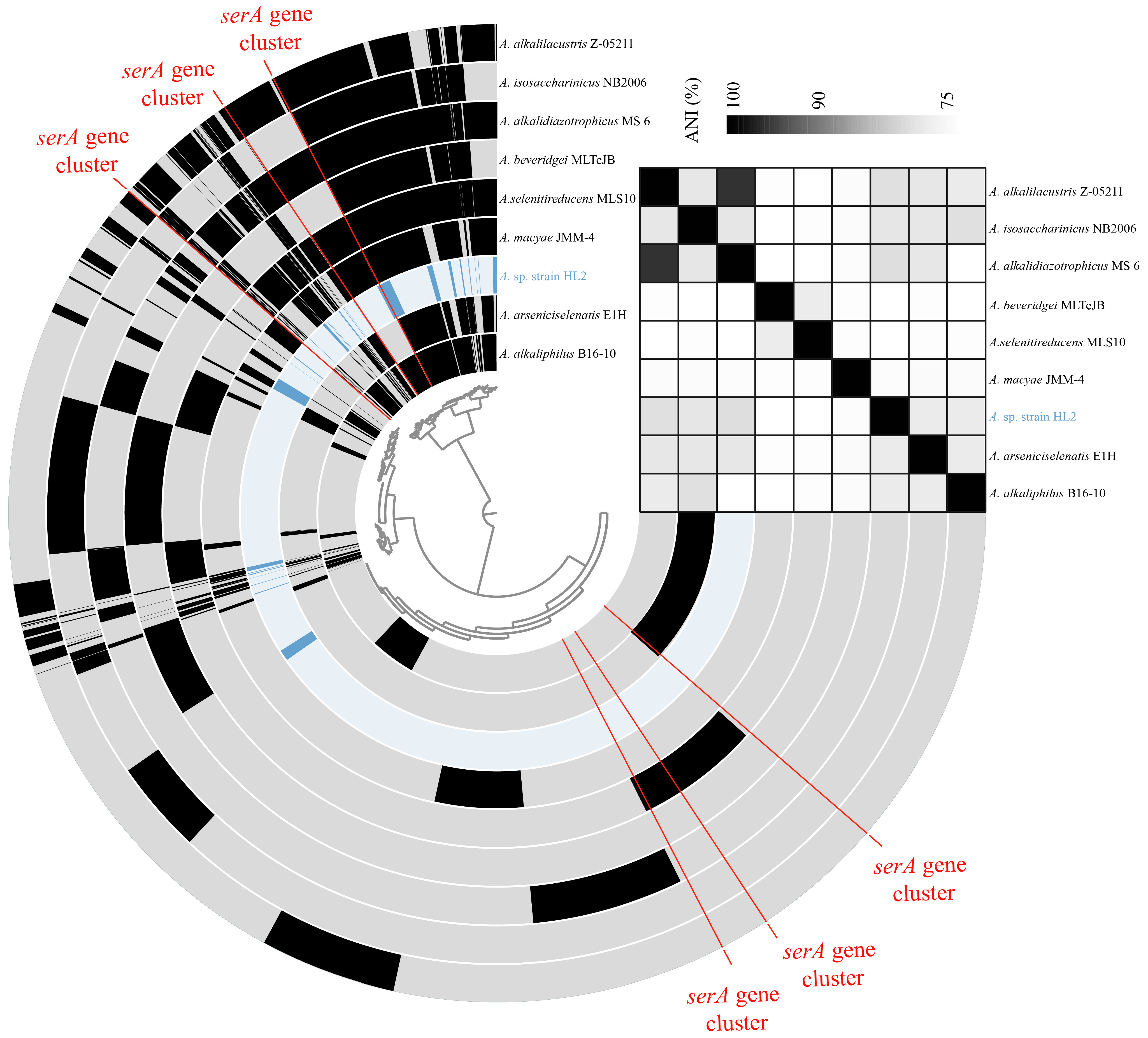 Microorganisms 13 00659 g002