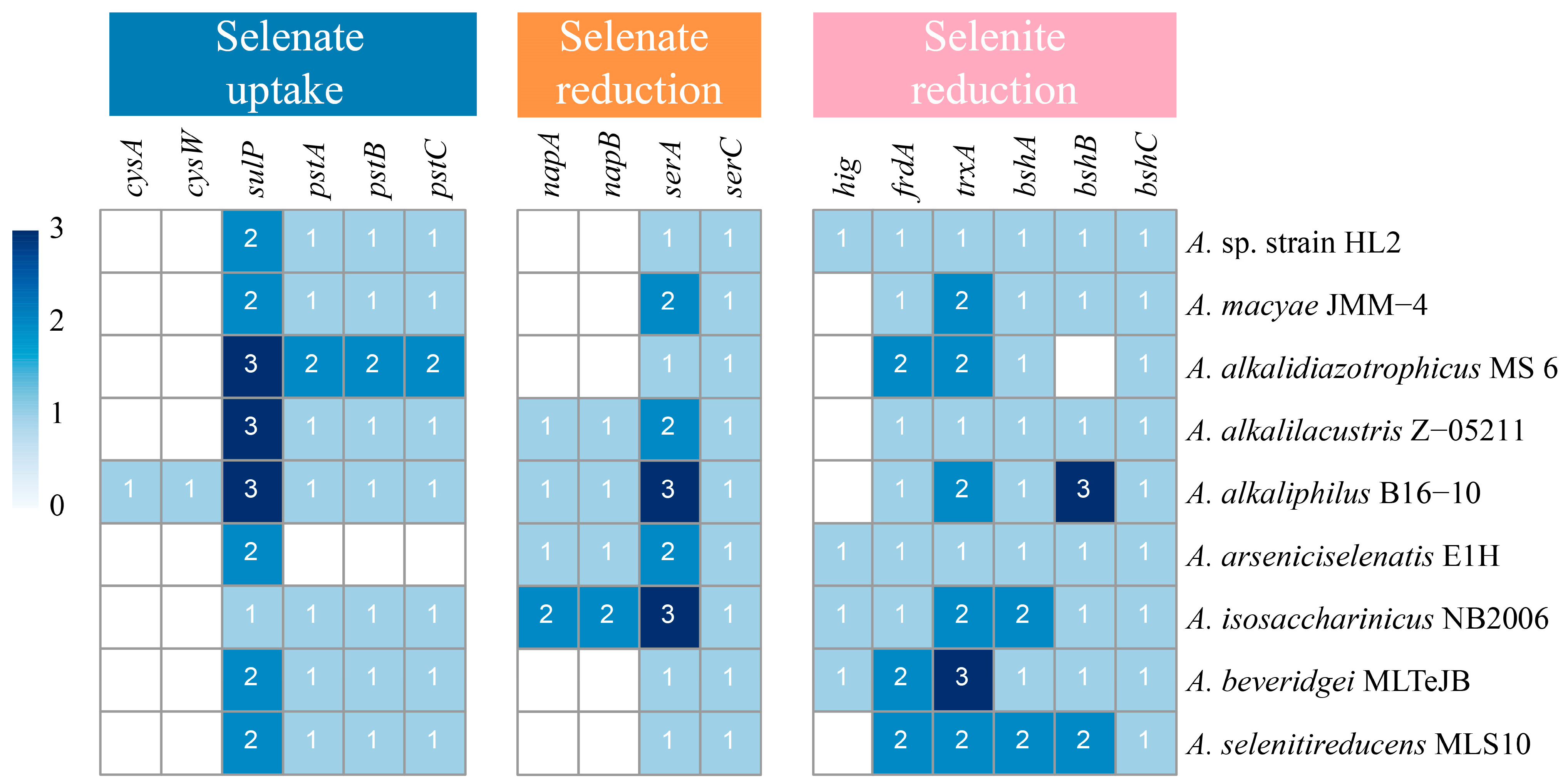 Microorganisms 13 00659 g003