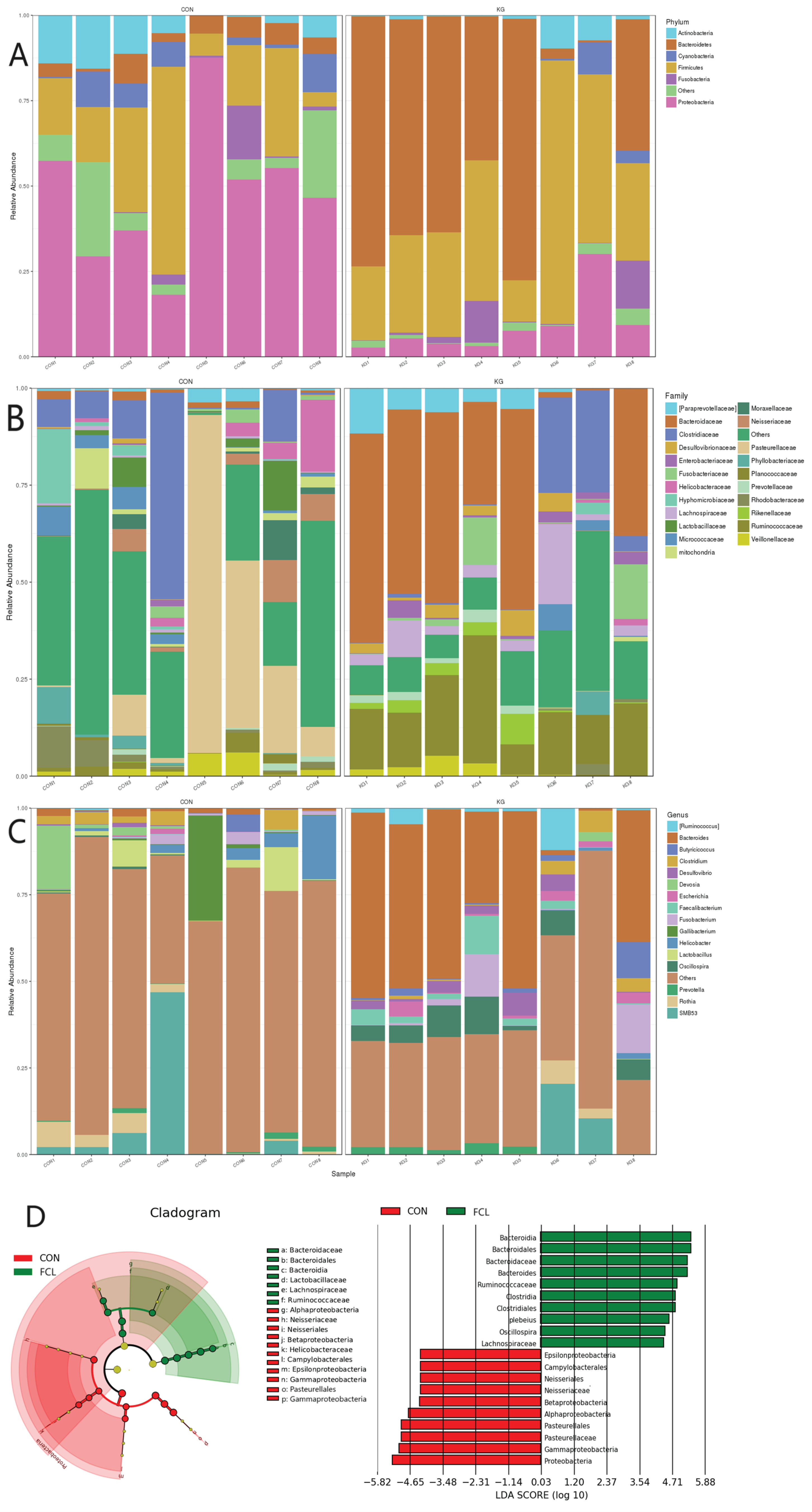 Microorganisms 13 00660 g004