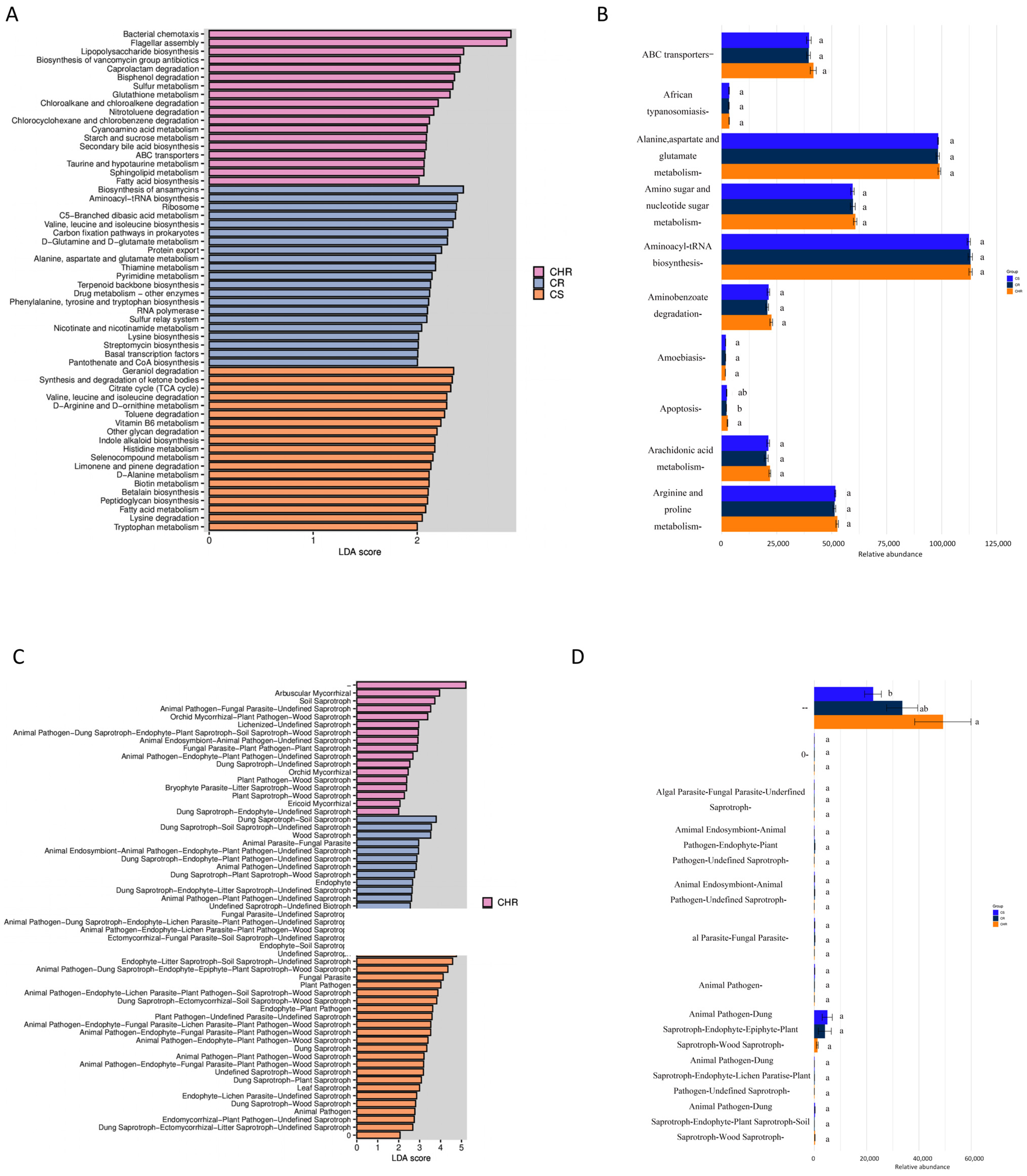 Microorganisms 13 00661 g005