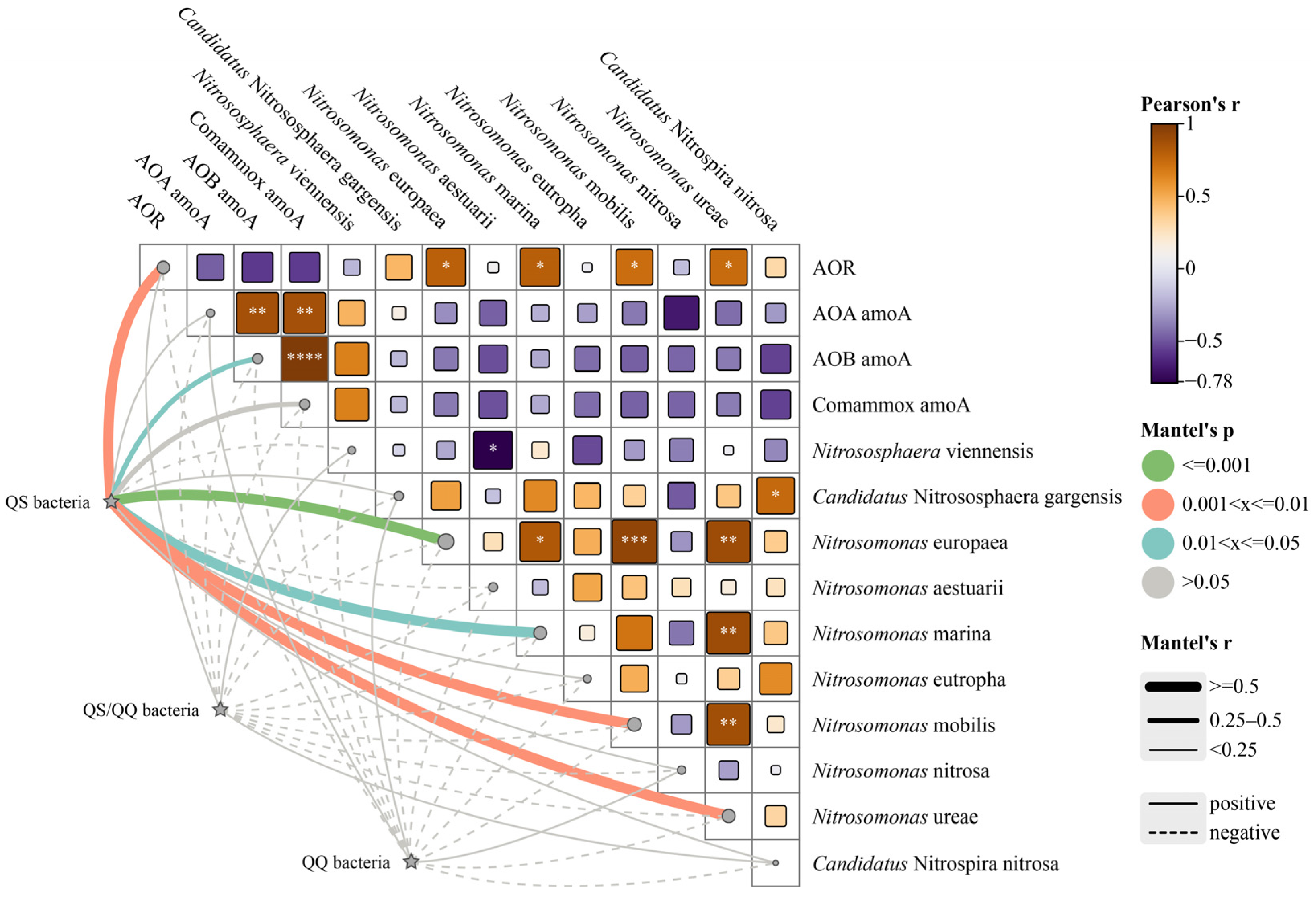 Microorganisms 13 00663 g004