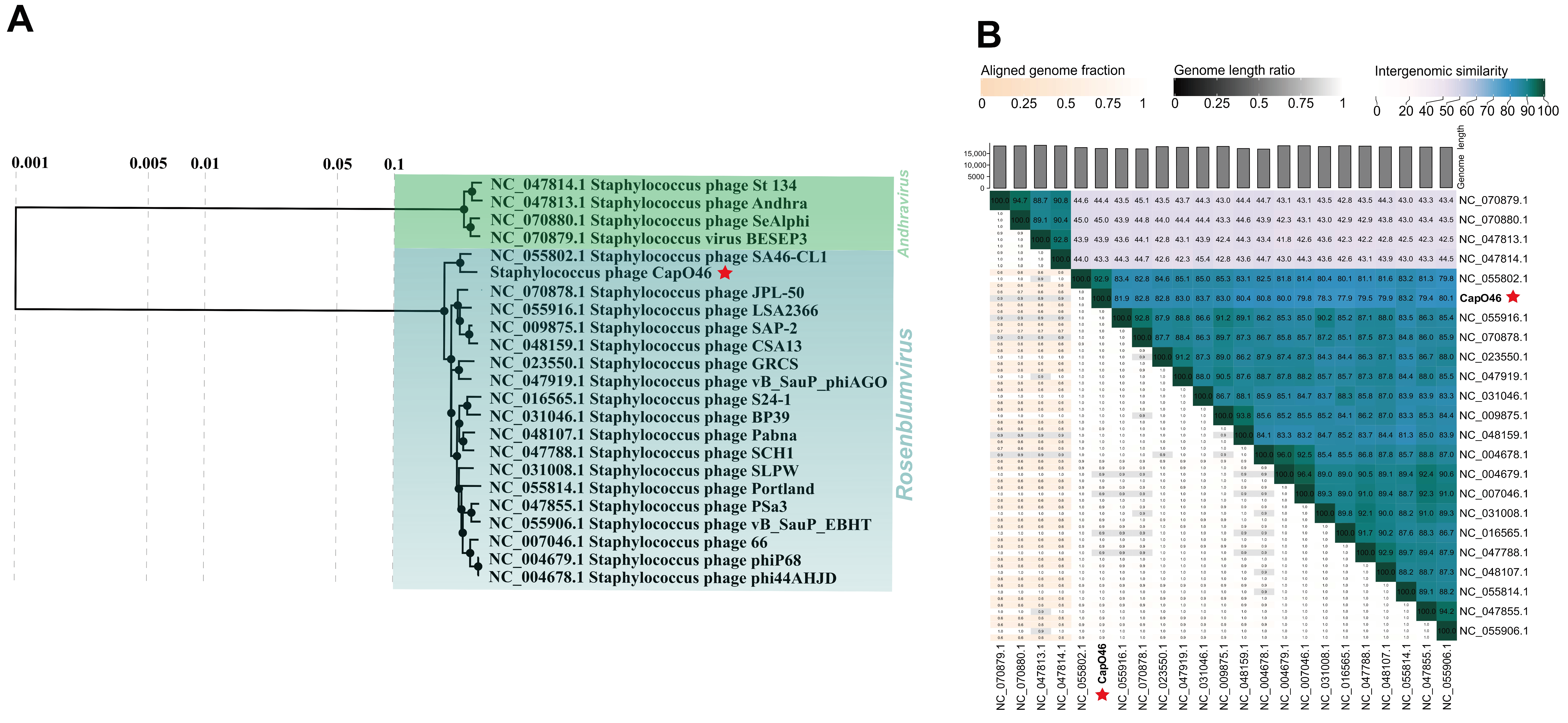Microorganisms 13 00664 g003