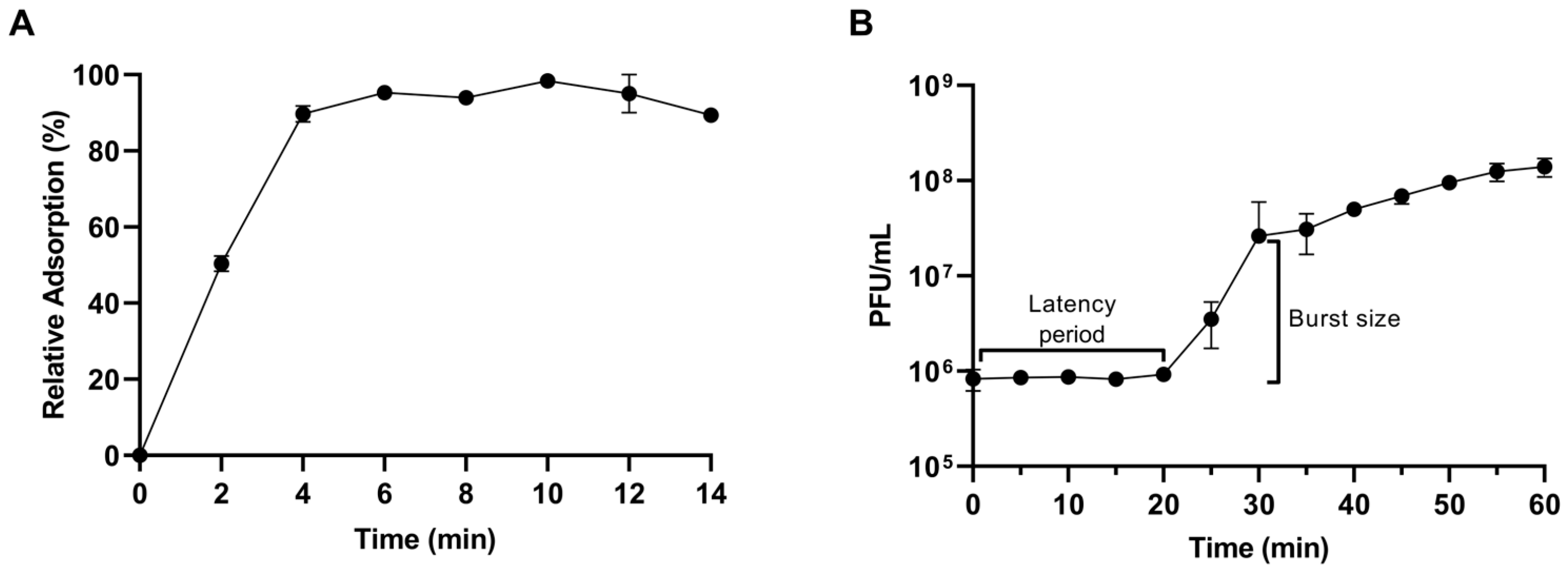 Microorganisms 13 00664 g004