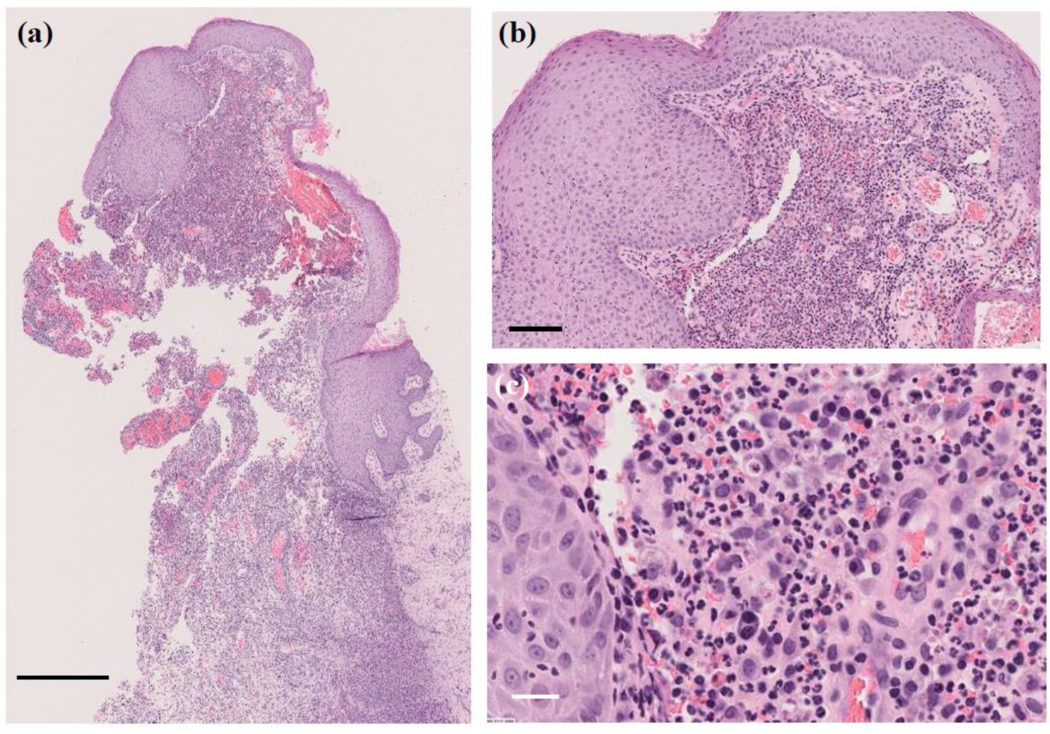 Microorganisms 13 00671 g003