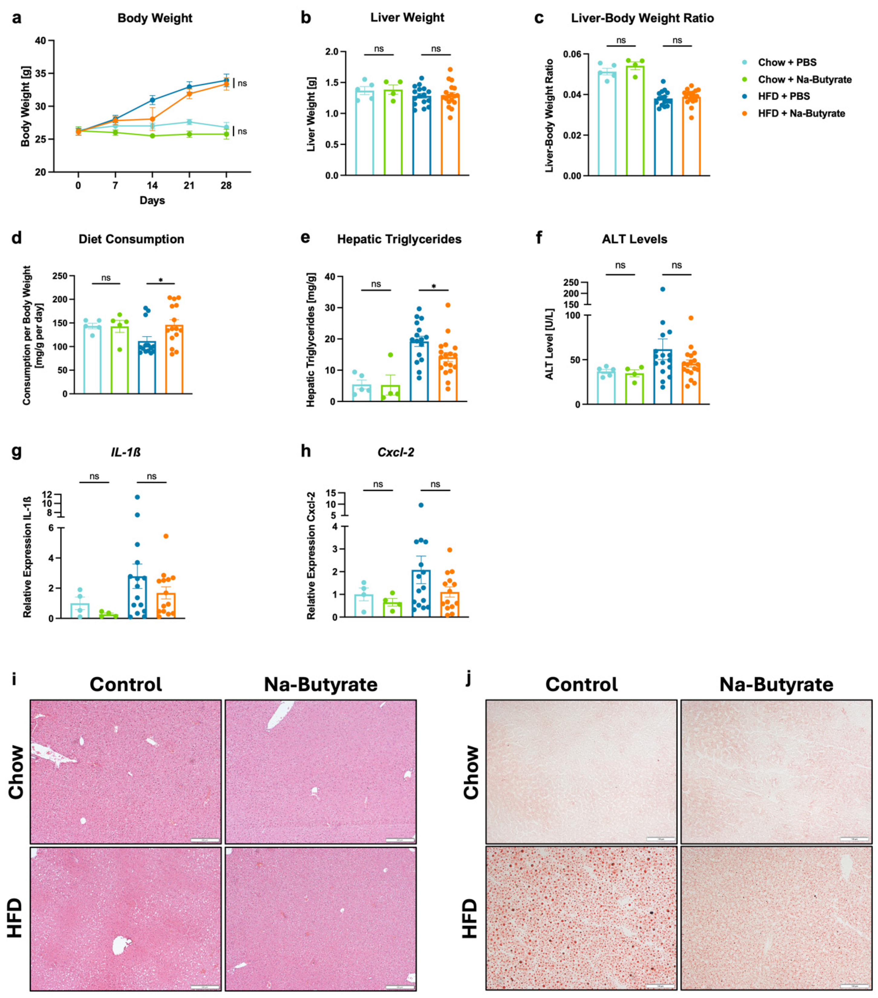 Microorganisms 13 00675 g002