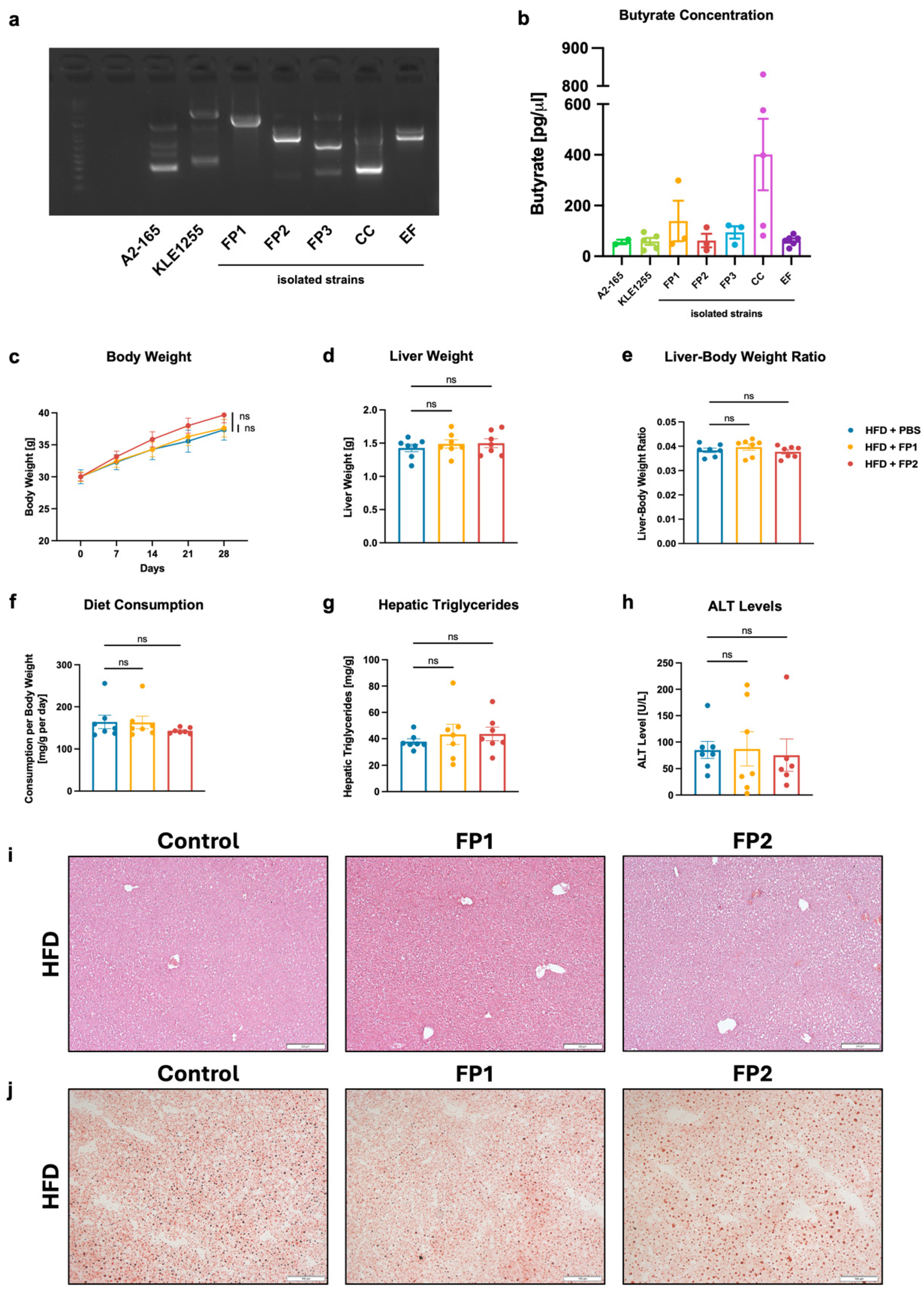 Microorganisms 13 00675 g003