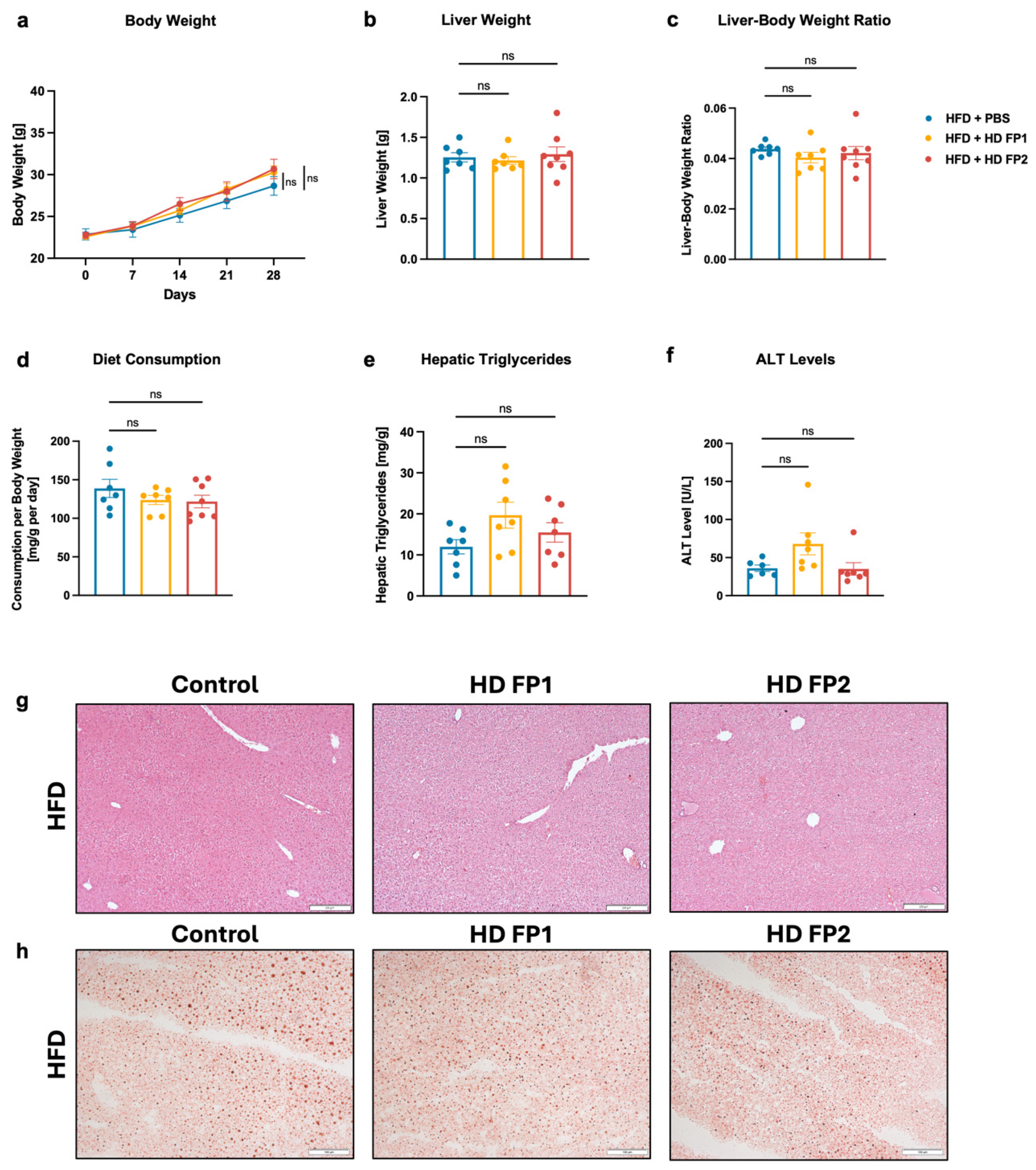 Microorganisms 13 00675 g004
