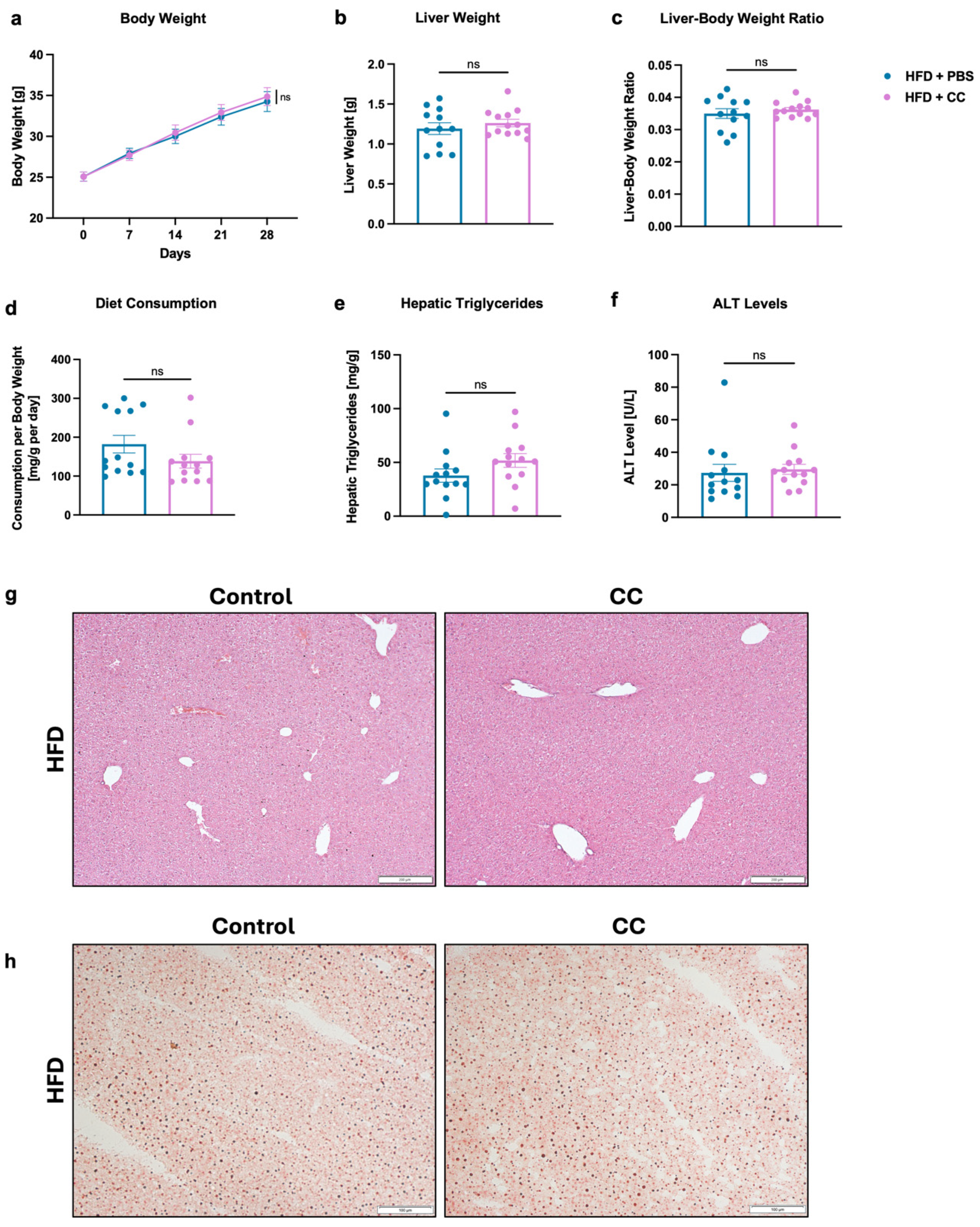 Microorganisms 13 00675 g005