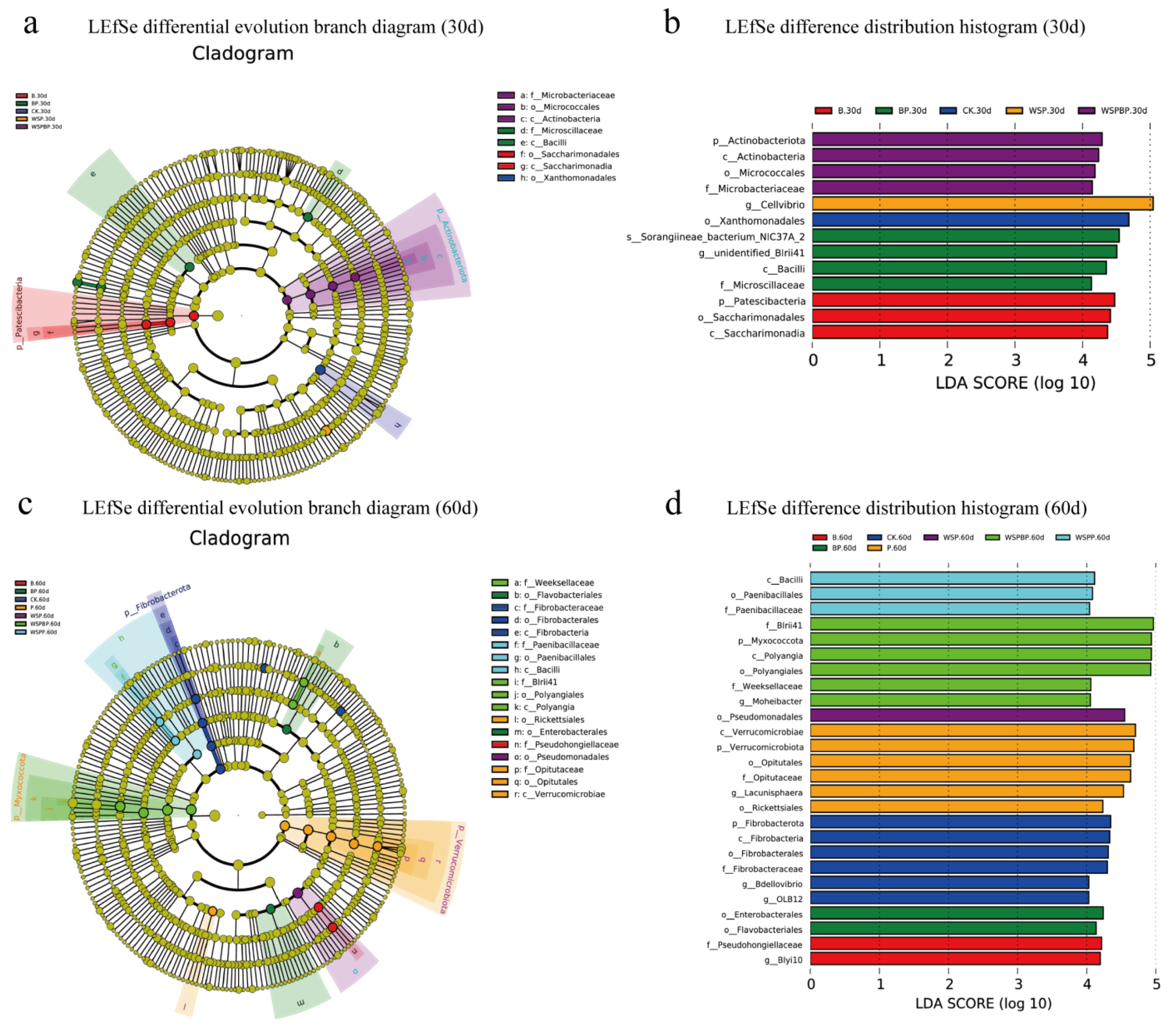 Microorganisms 13 00677 g004