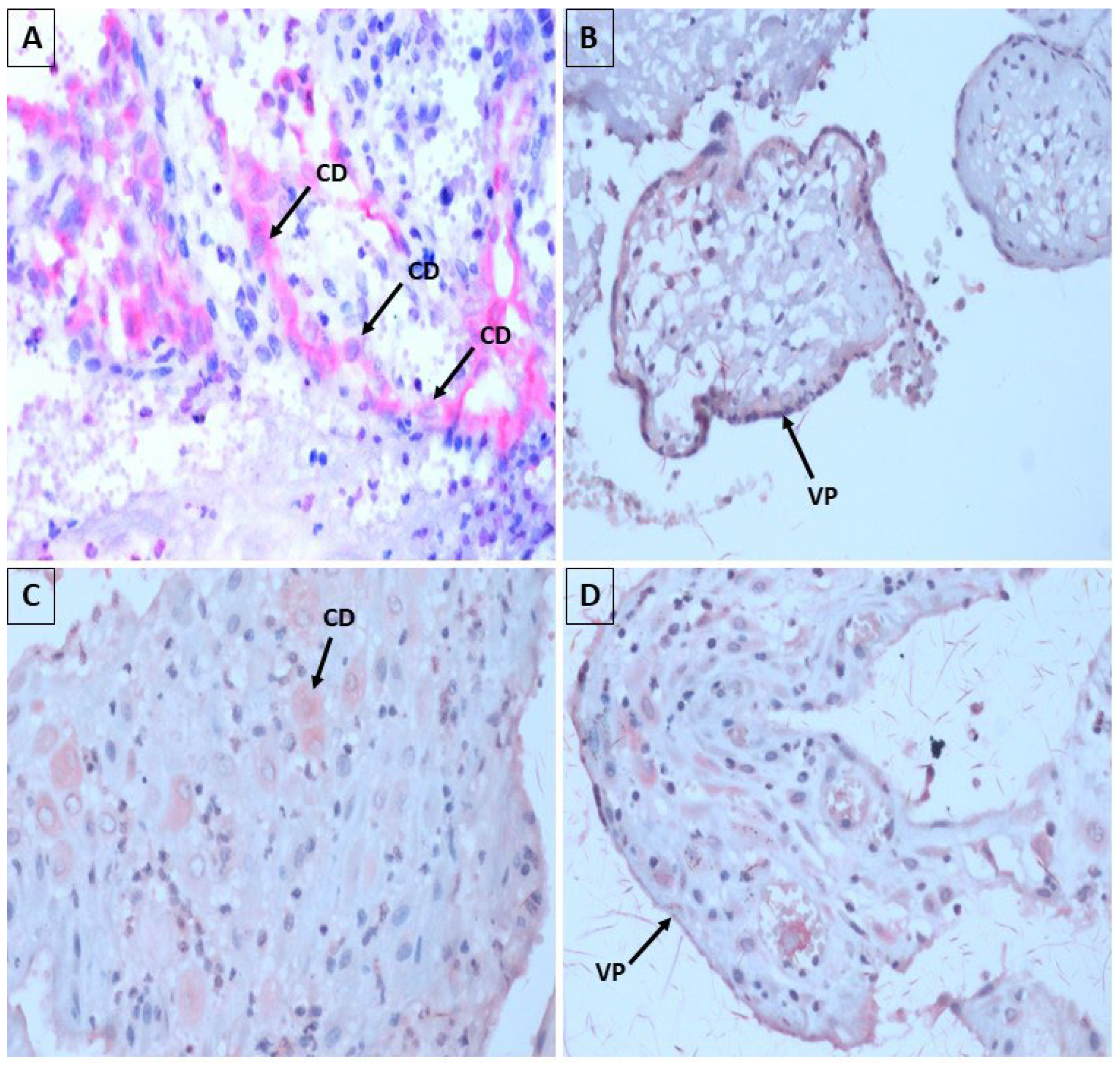 Microorganisms 13 00678 g003