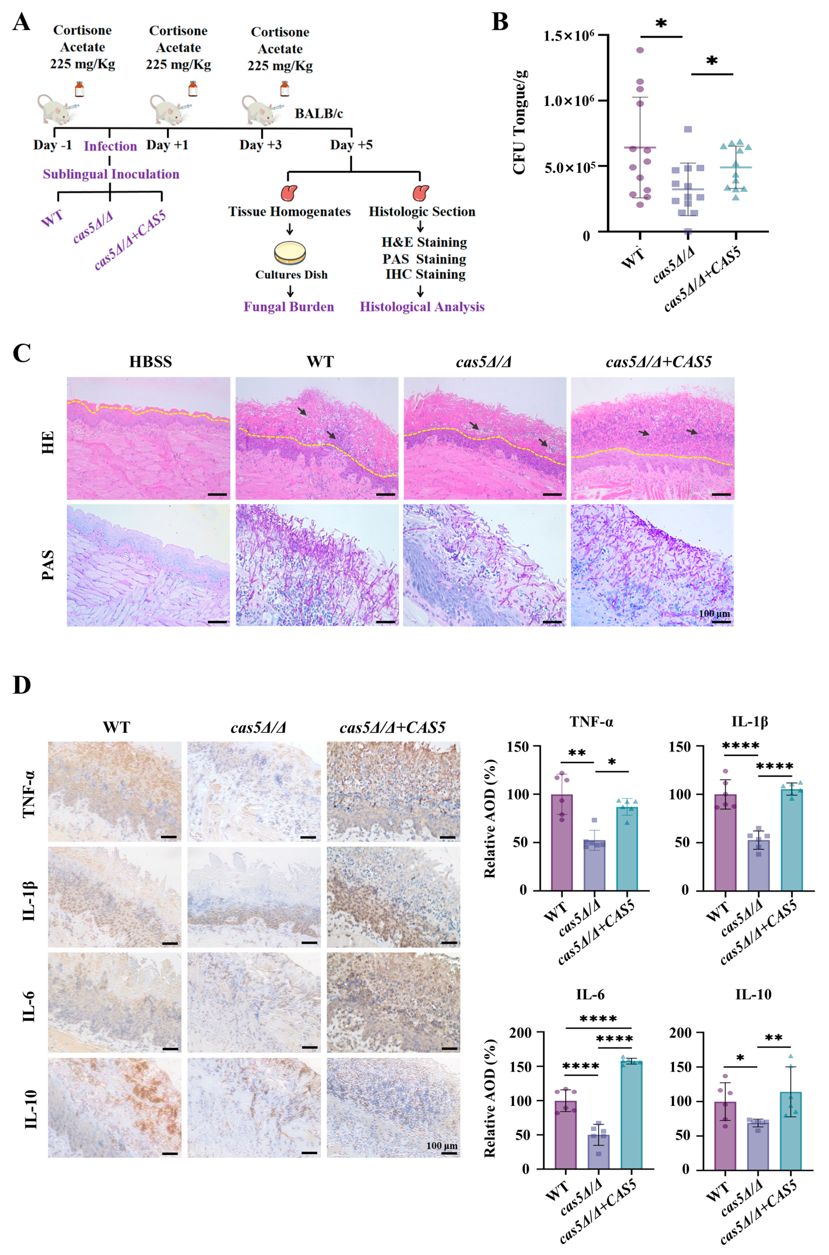 Microorganisms 13 00683 g006