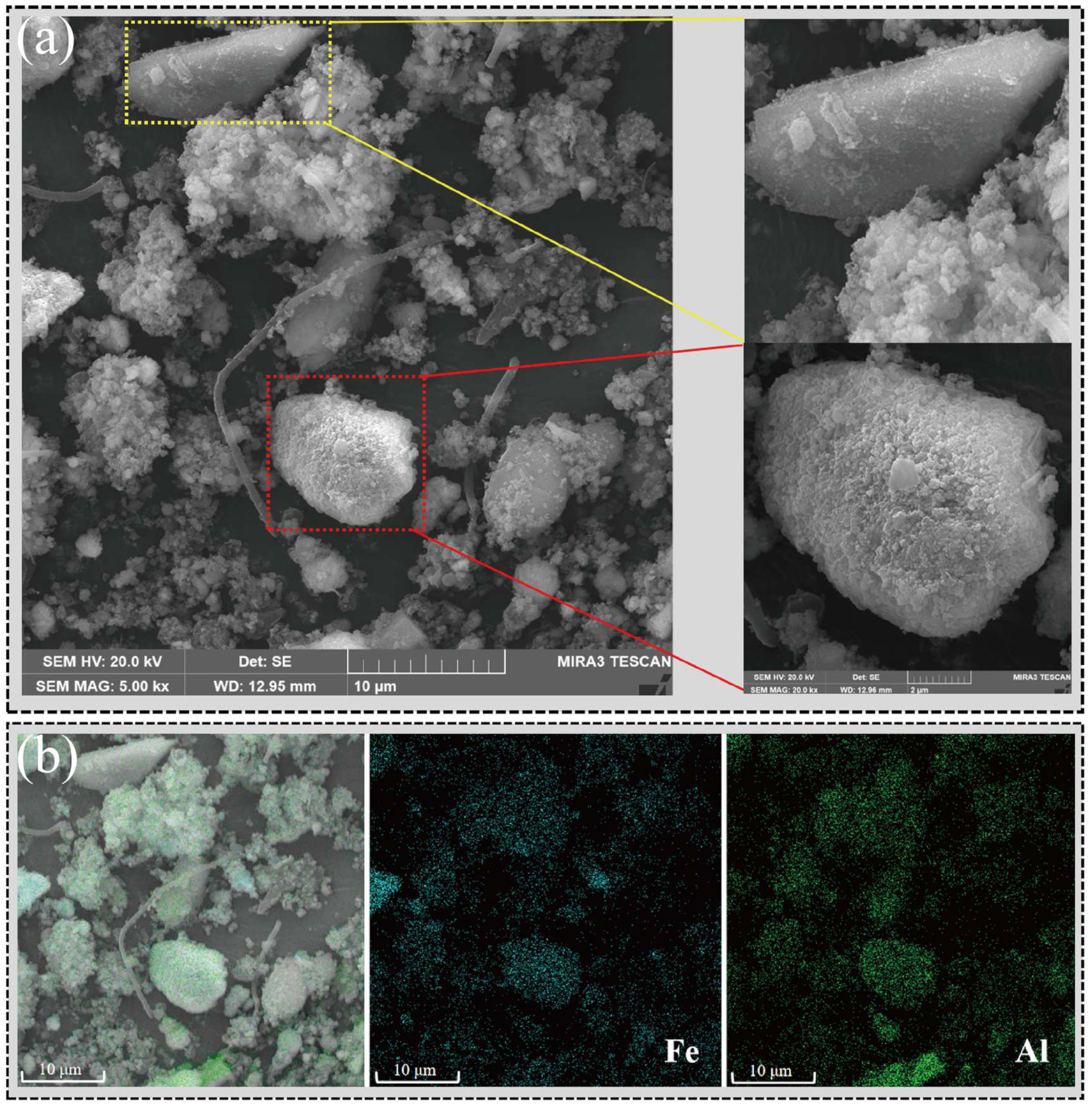 Microorganisms 13 00690 g004