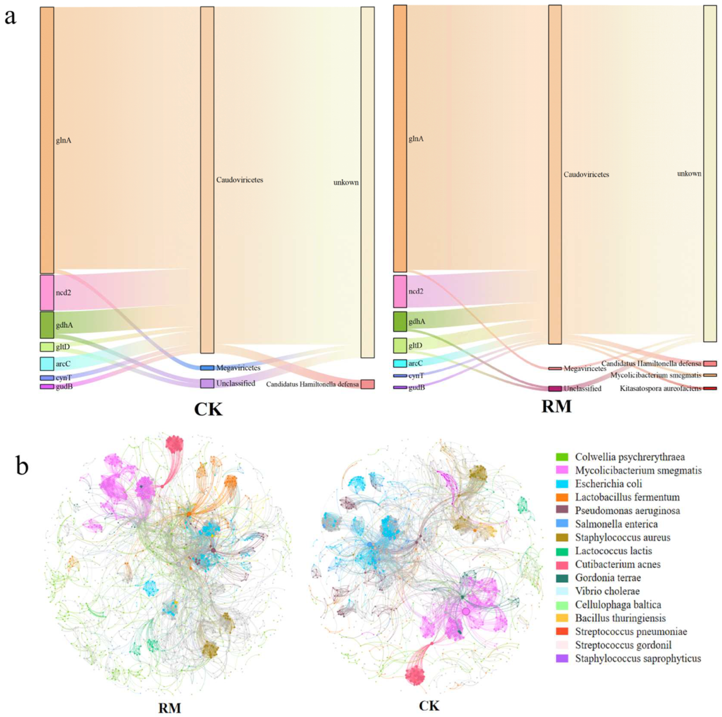 Microorganisms 13 00690 g008