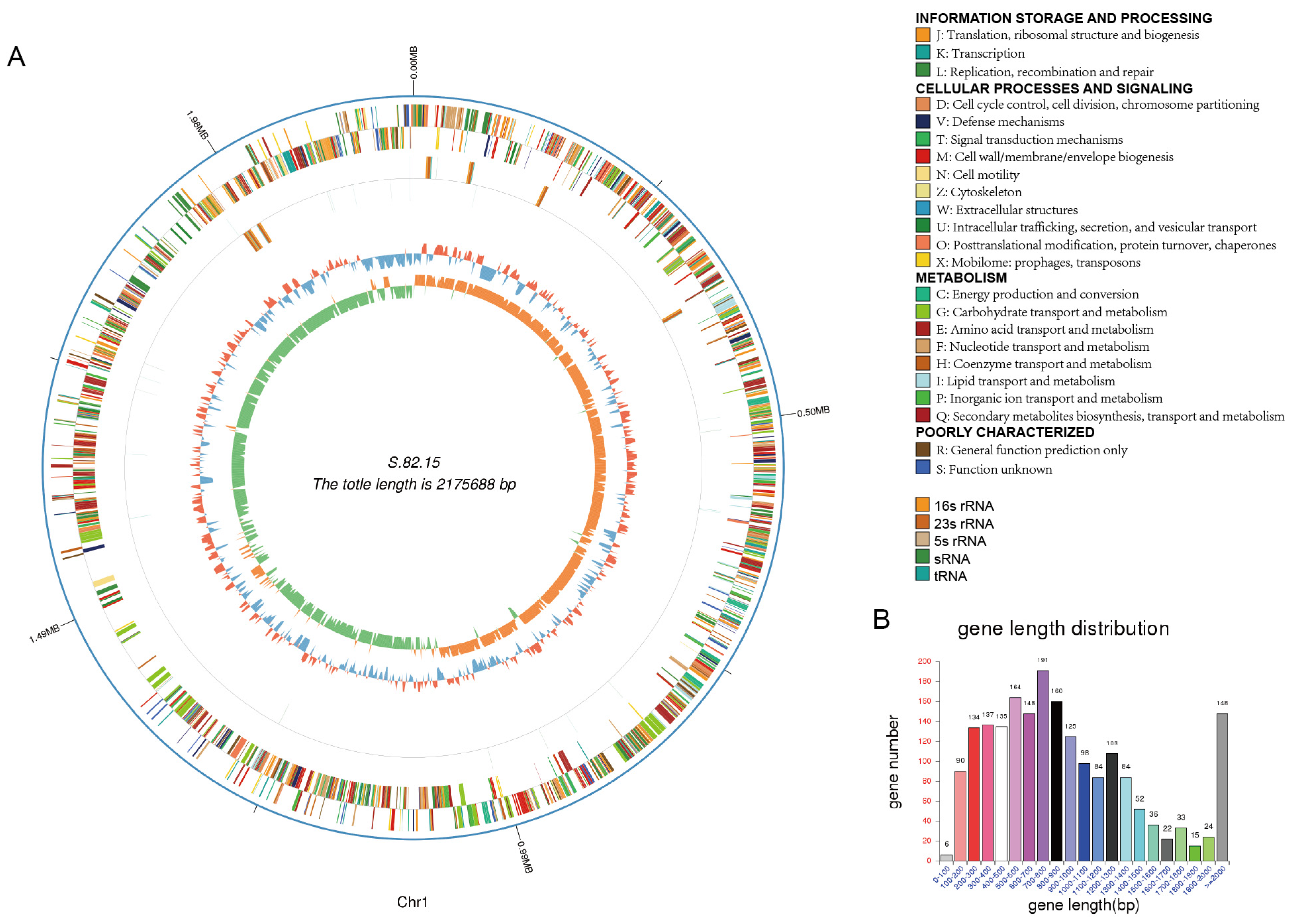 Microorganisms 13 00694 g003