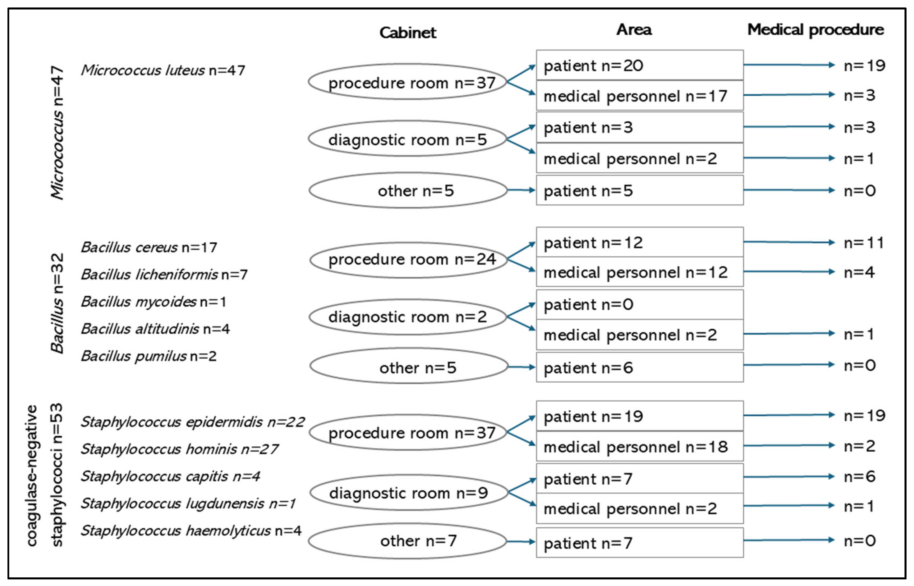 Microorganisms 13 00698 g001