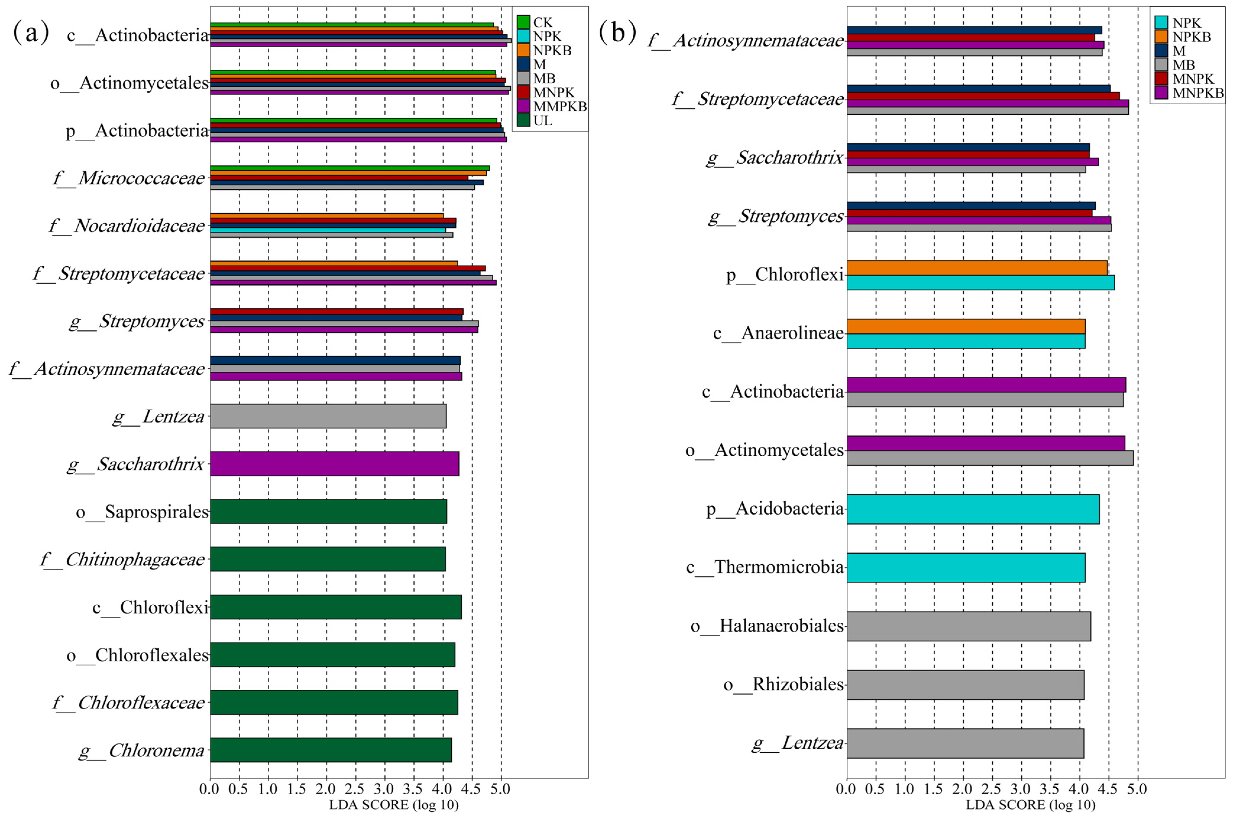 Microorganisms 13 00699 g002