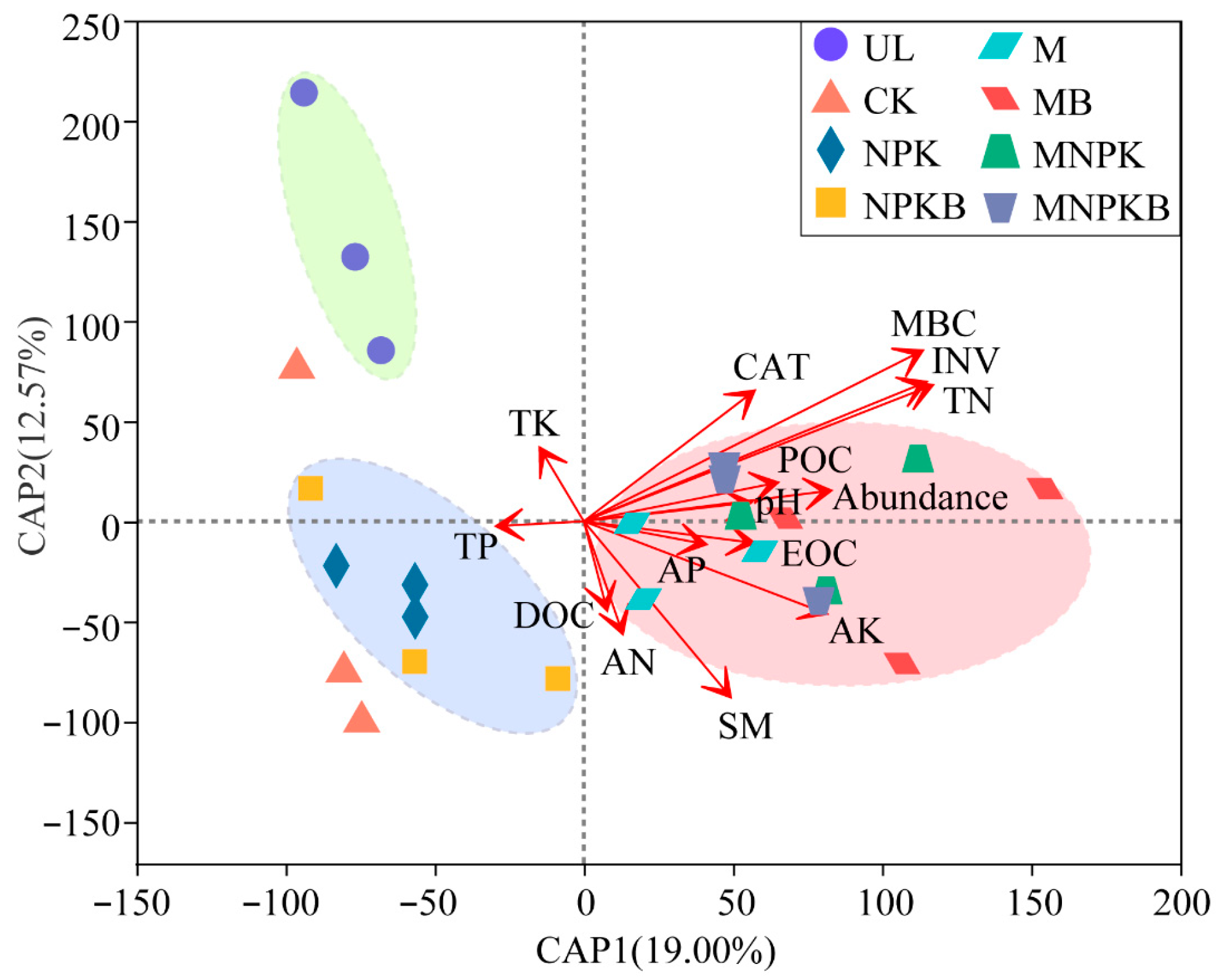 Microorganisms 13 00699 g006