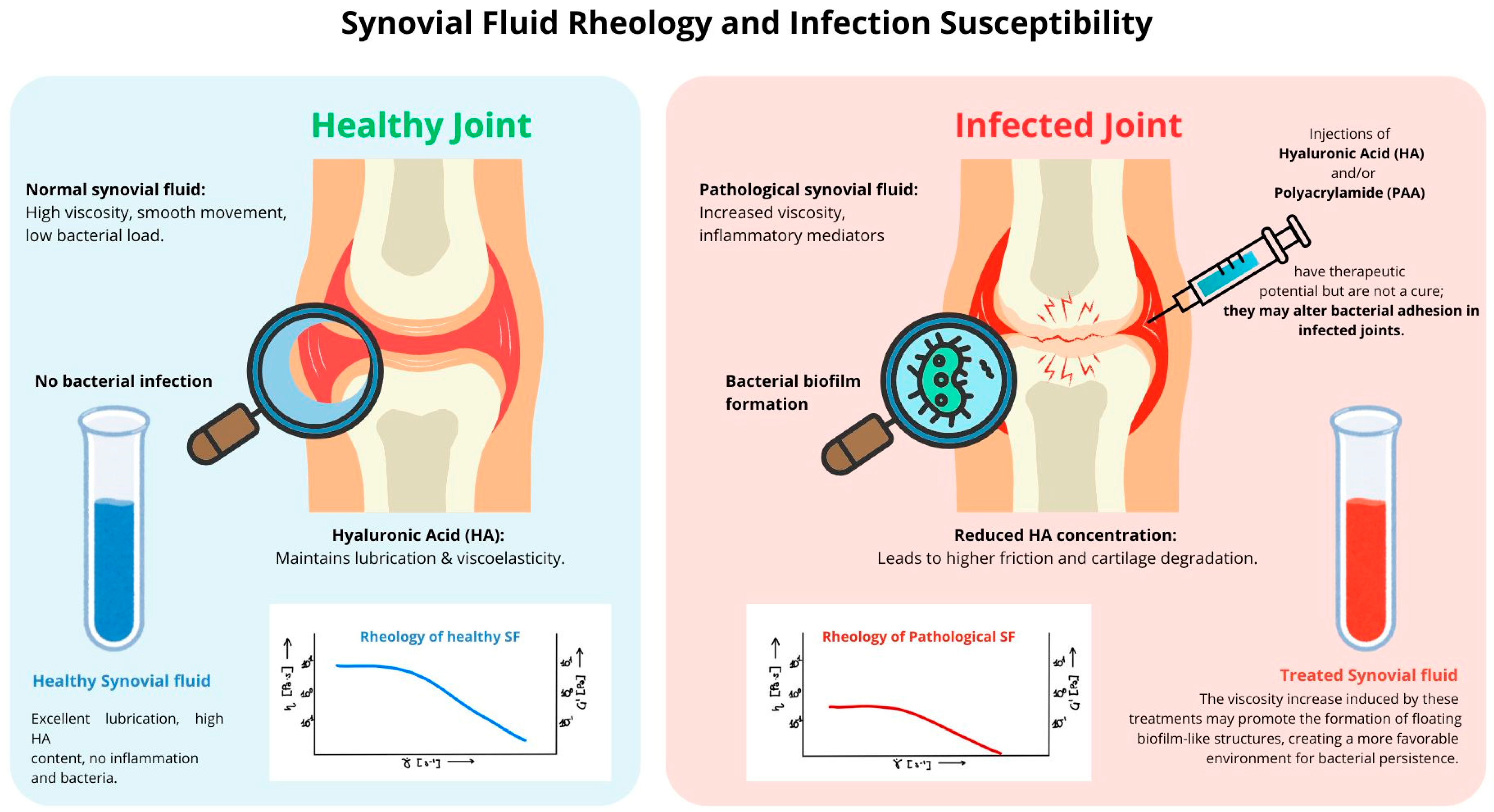 Microorganisms 13 00700 g002