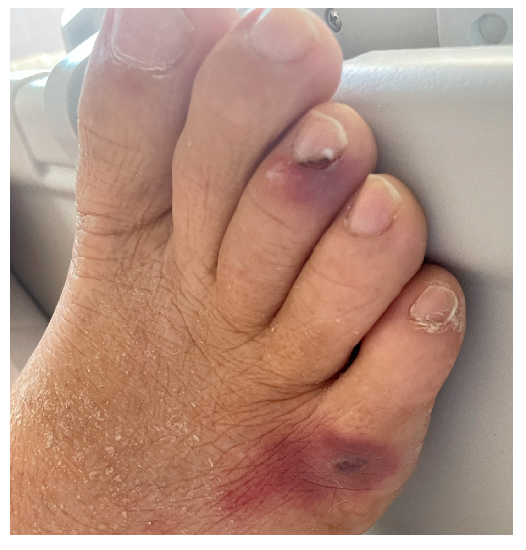 Microorganisms 13 00703 g001